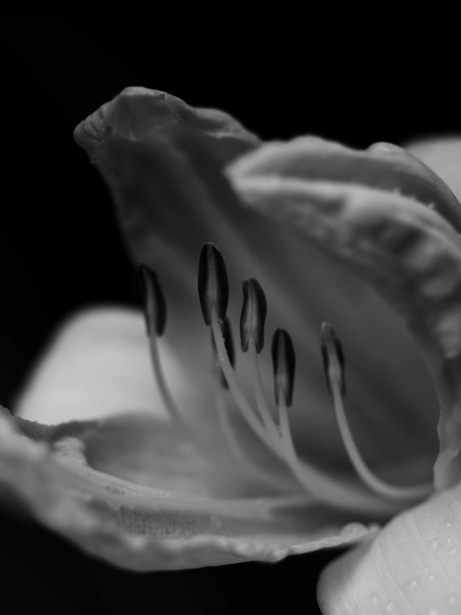 07010971