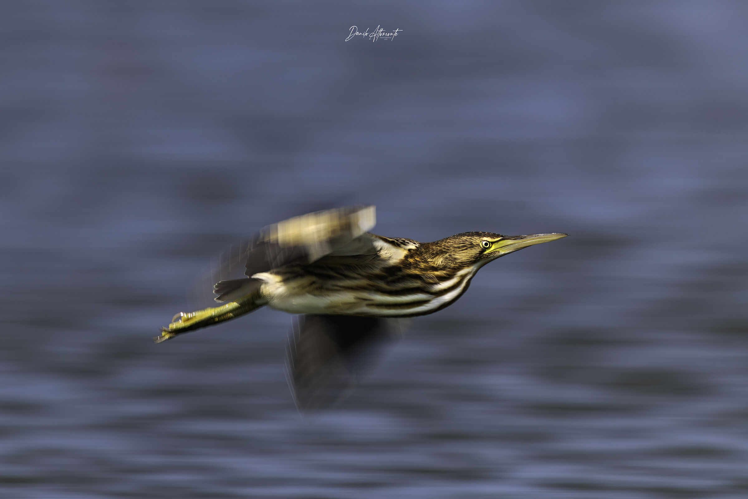 Panning shot
