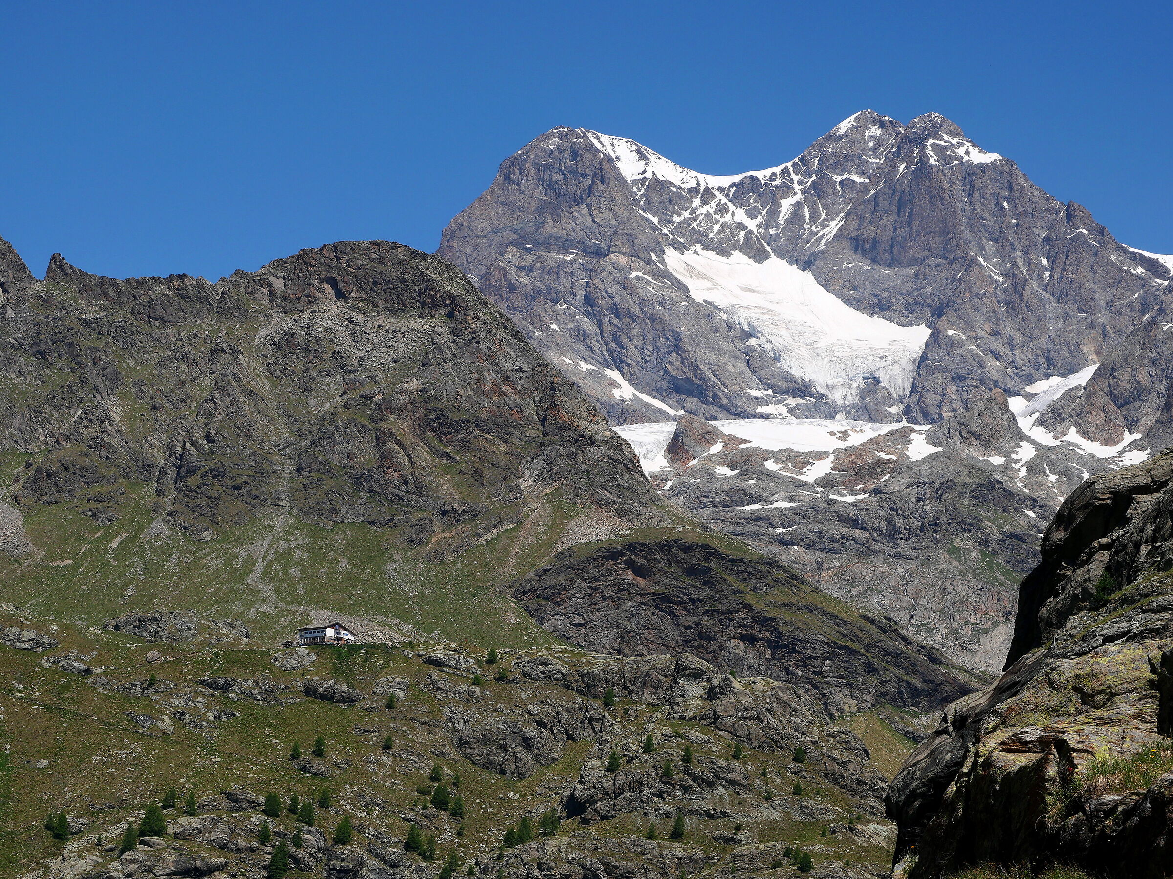 B&B Bignami & Bernina