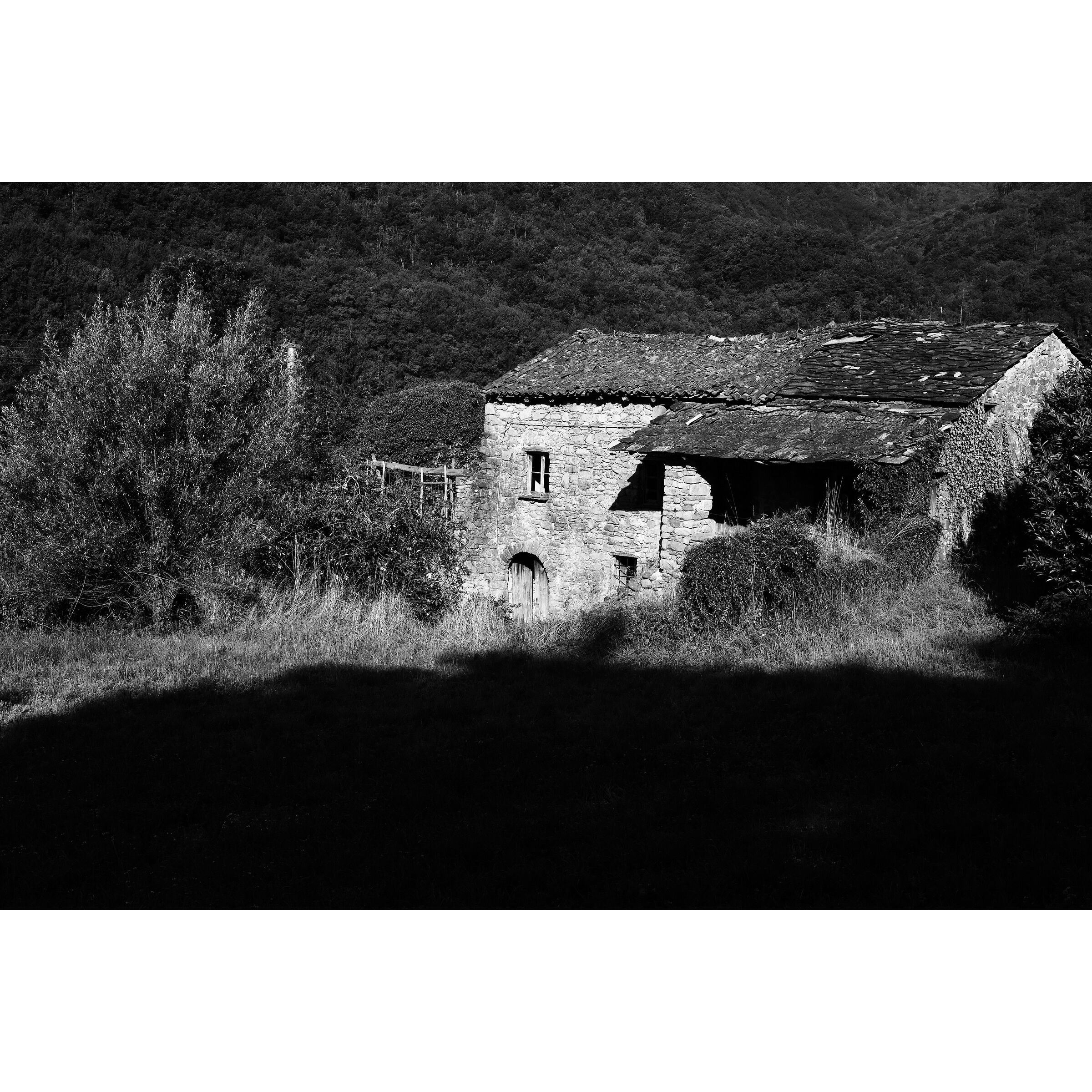Untitled Photo