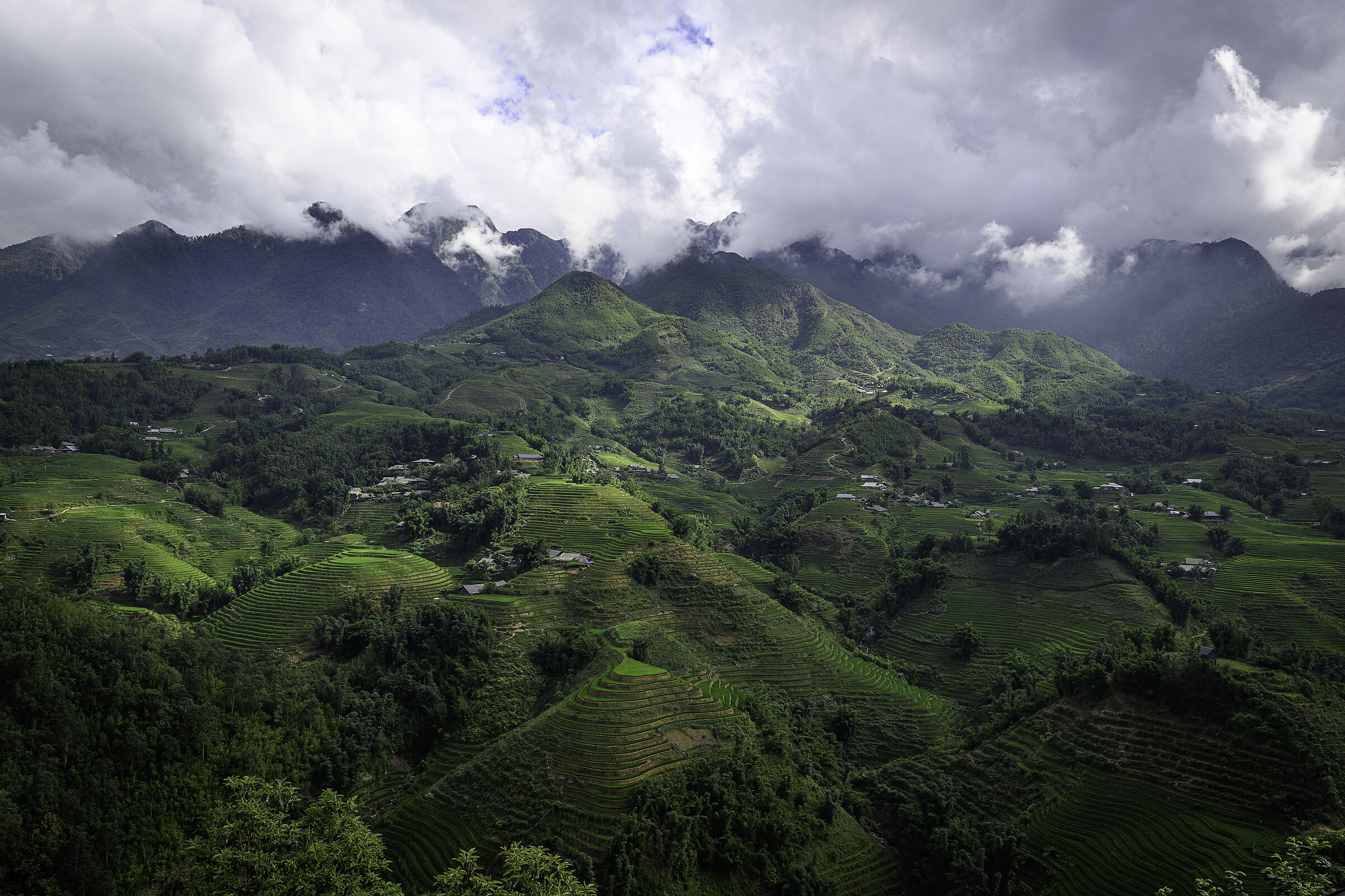 Terraces in Ta Van