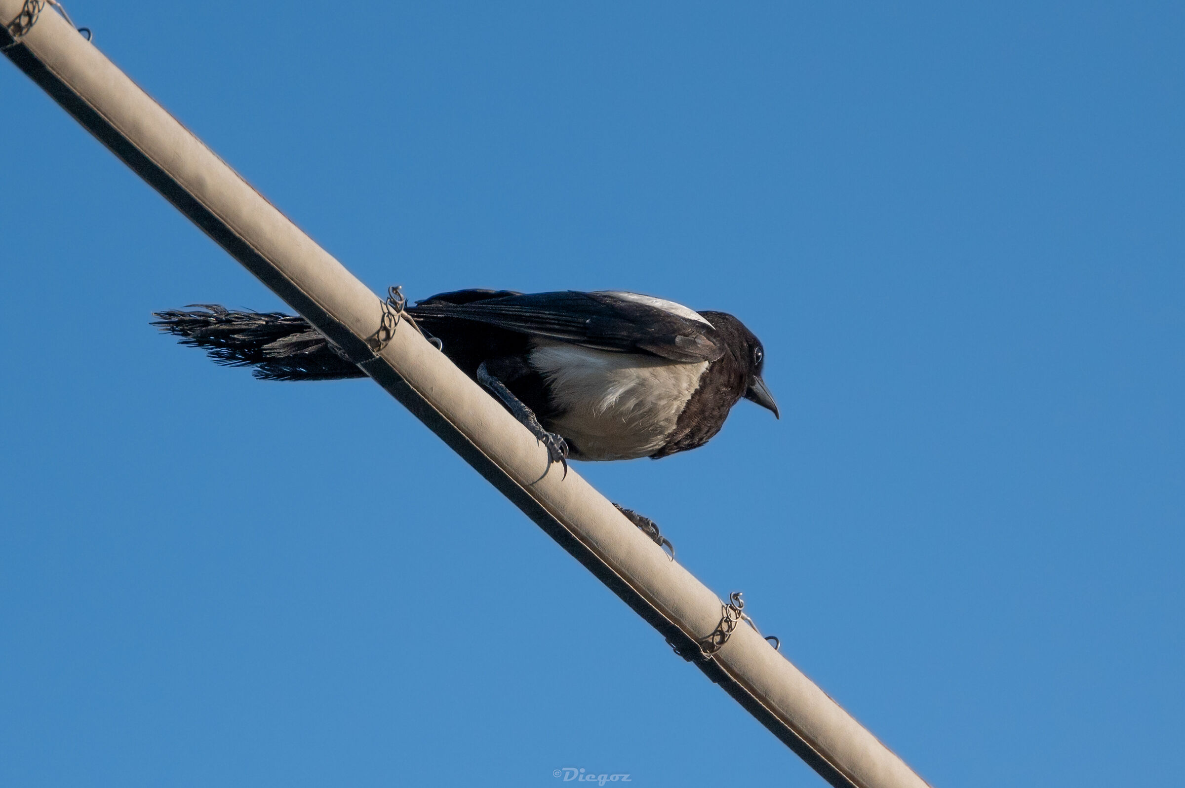 Untitled Photo