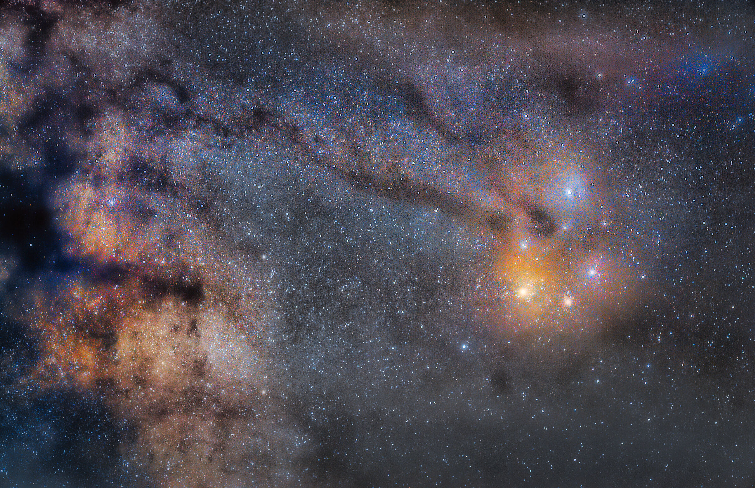 Scorpione a 85 mm con nikon d700