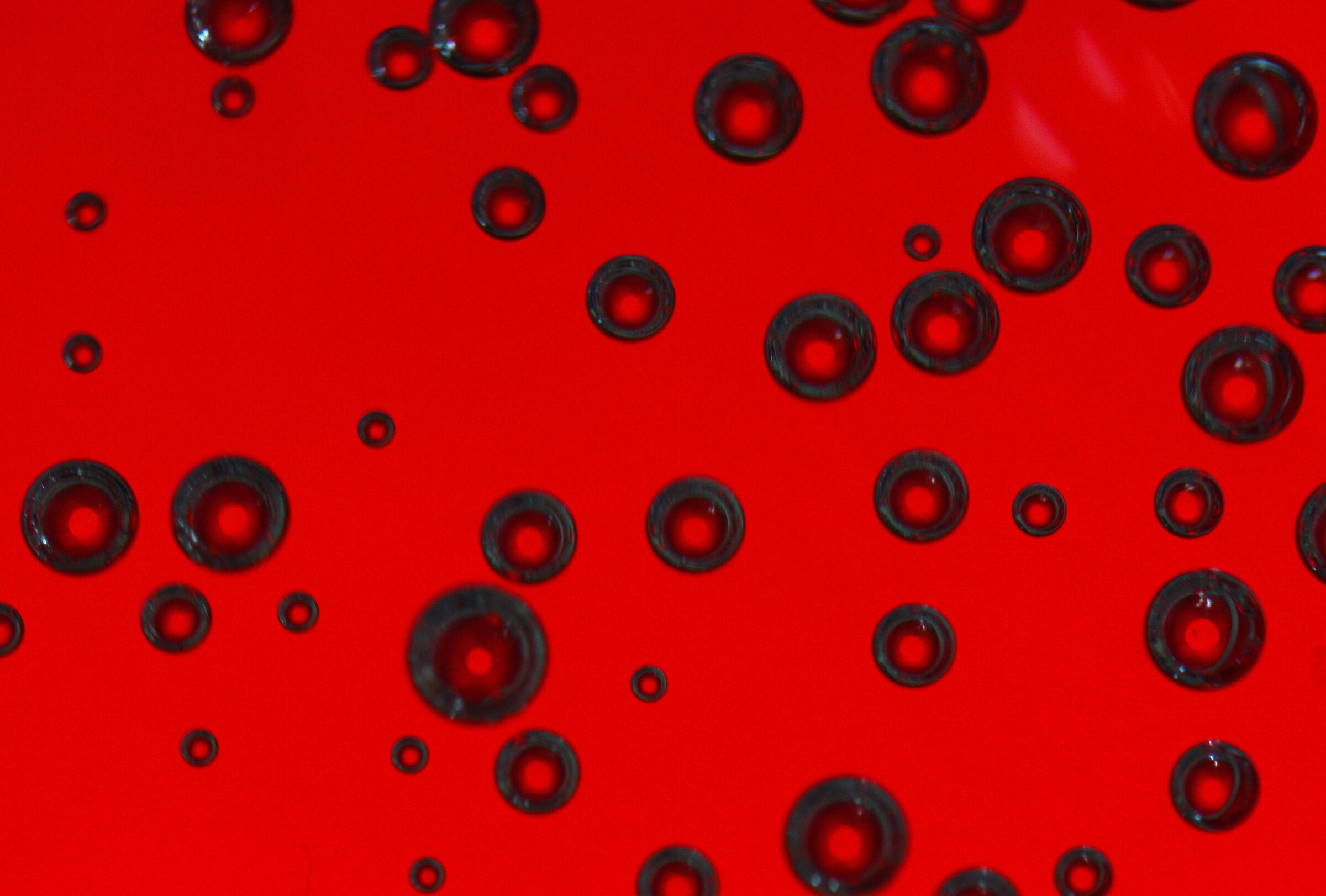 Red blood cells