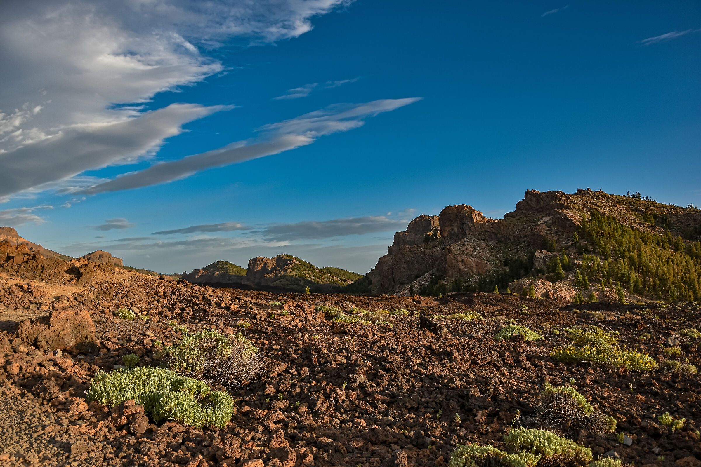 Teide Natural Park