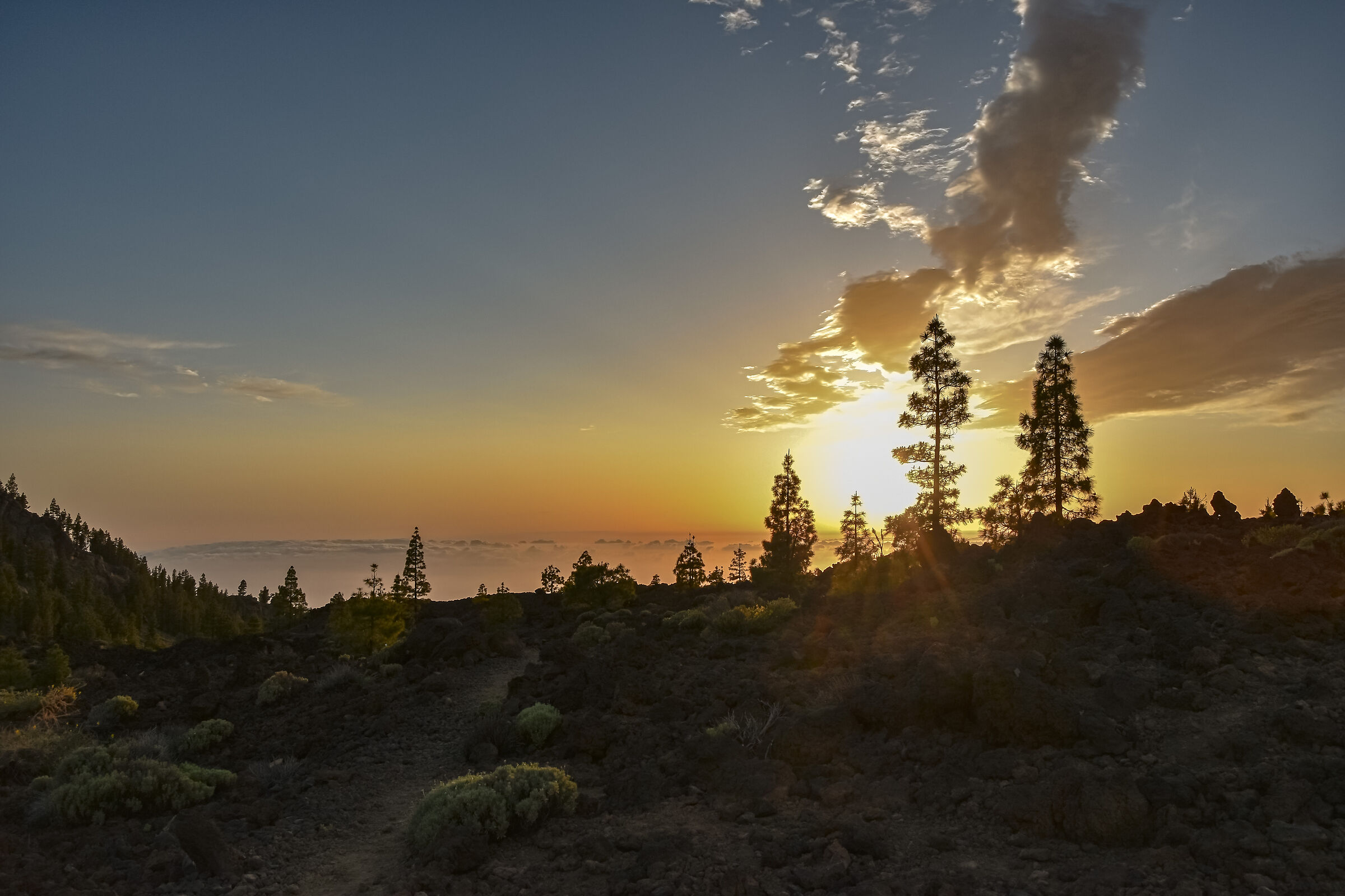 A backlight at 2000 m
