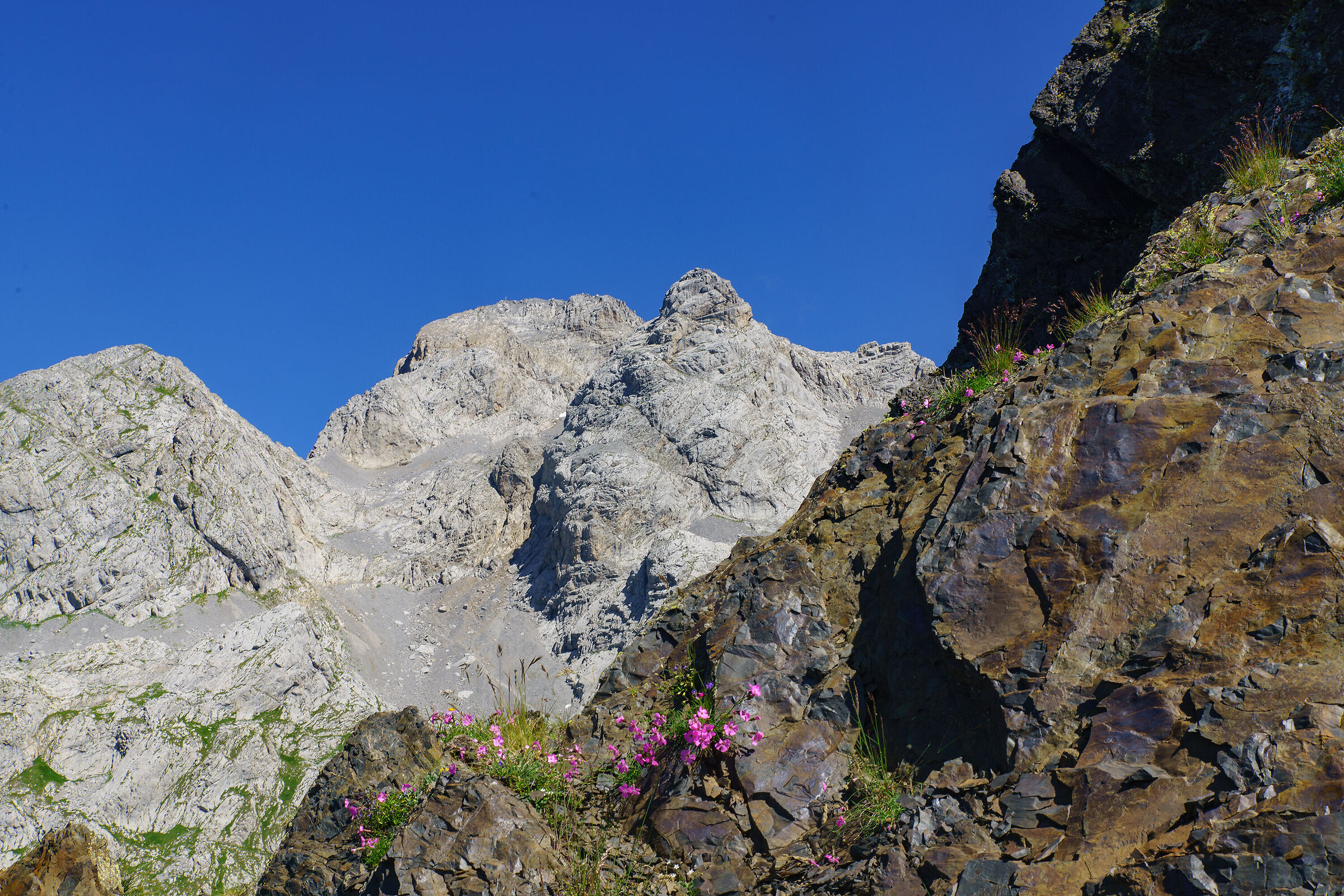 Mount Coglians Carnic Alps