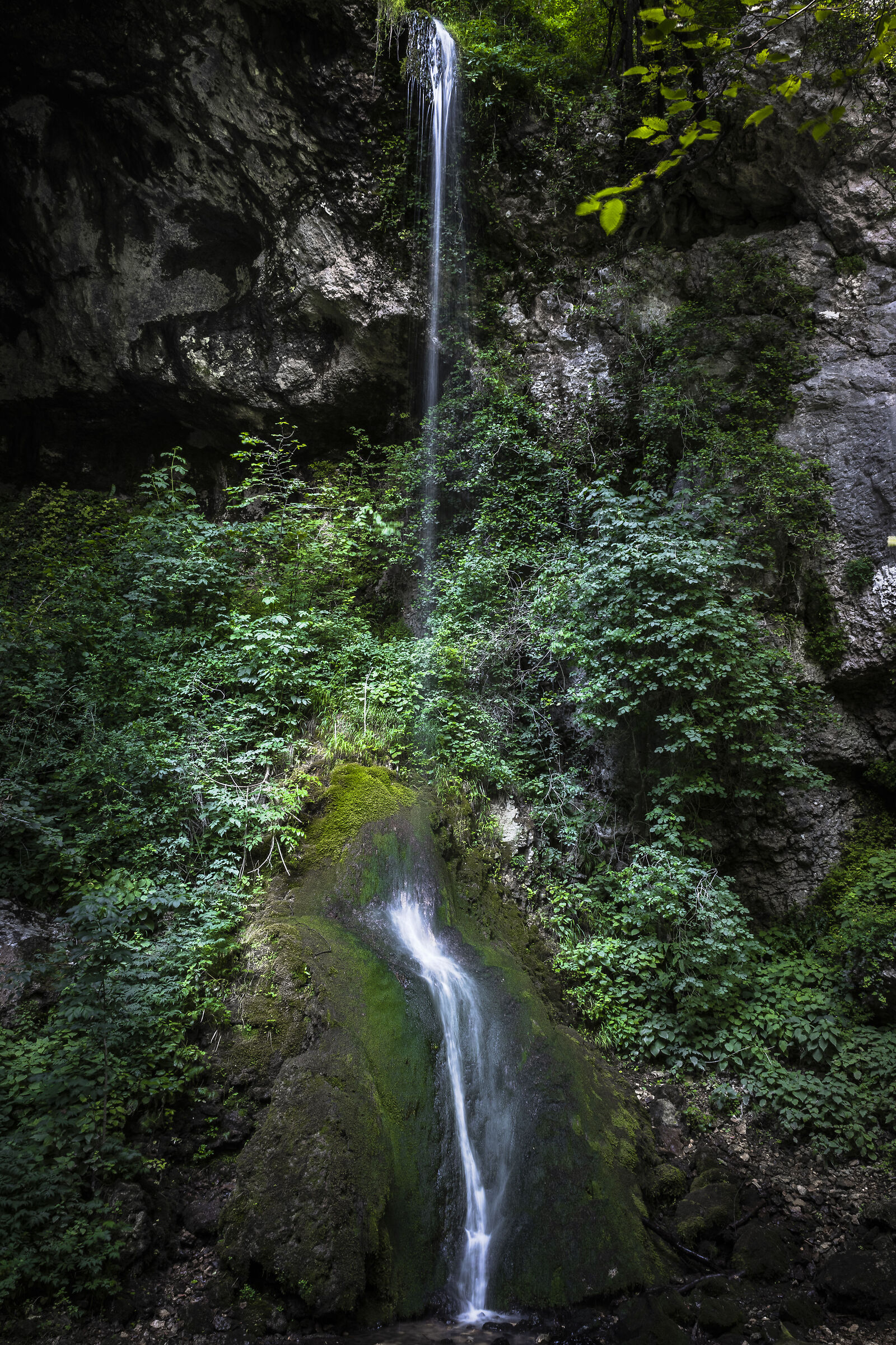 The fountain of youth