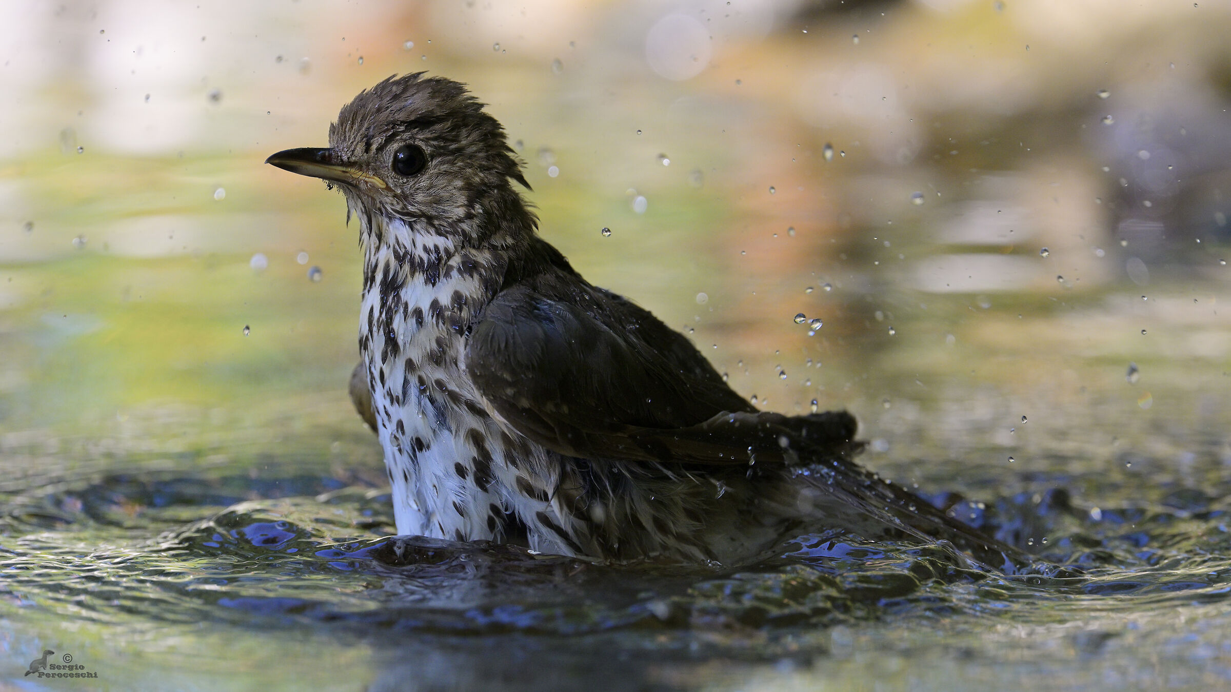 Refreshing bath