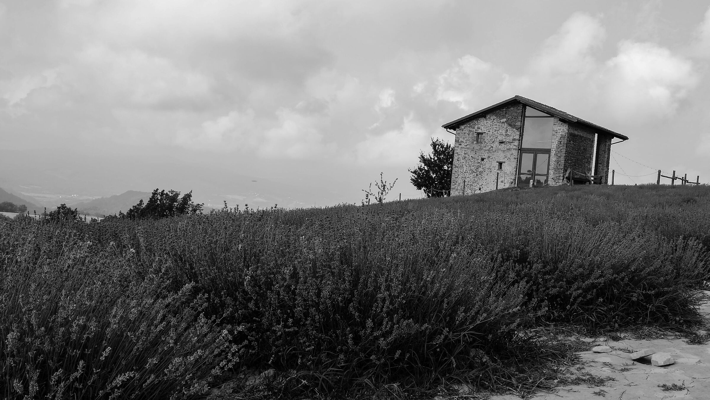 Ciabot du Gi - Sale San Giovanni and the lavender fields