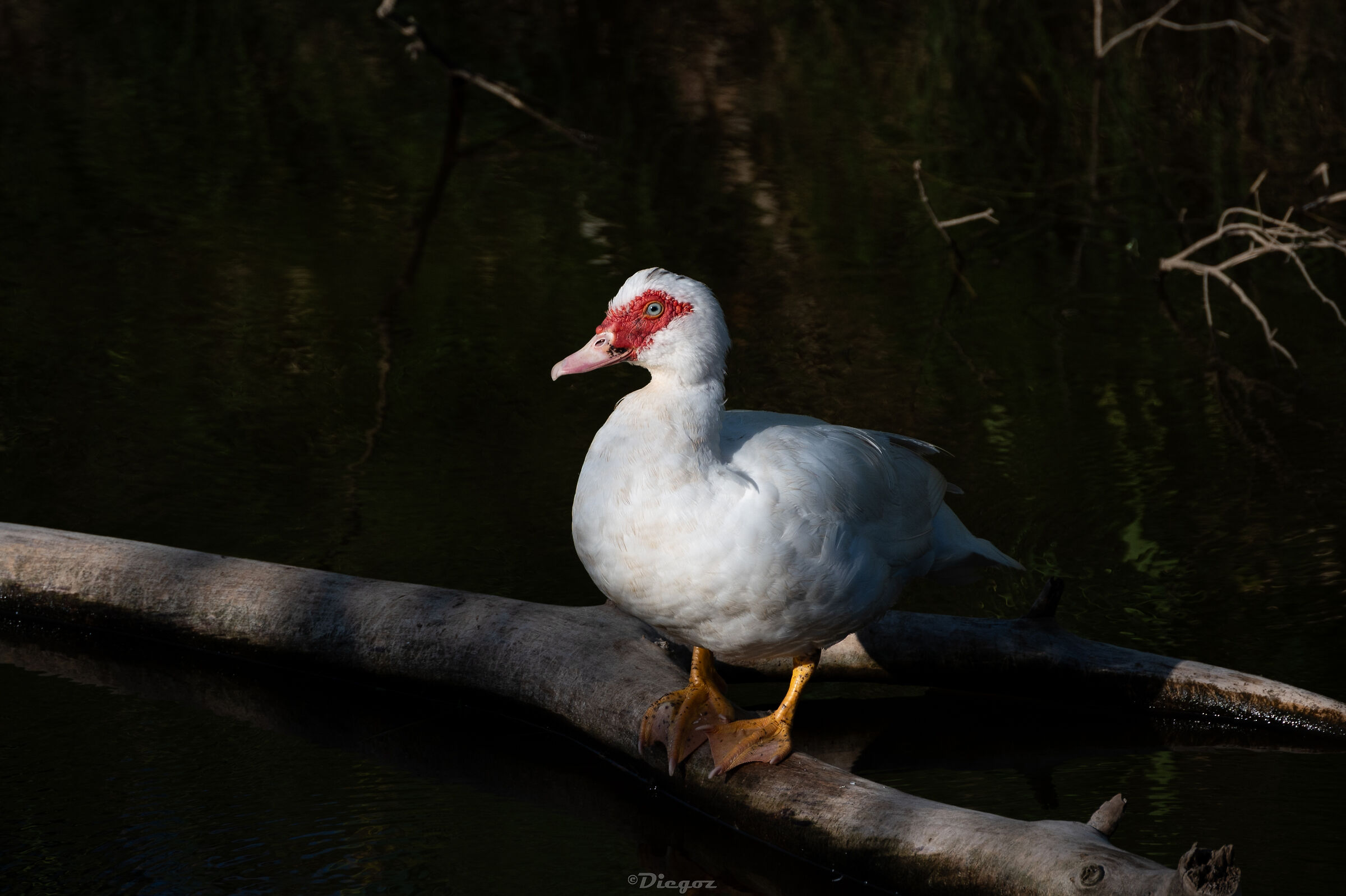 Untitled Photo