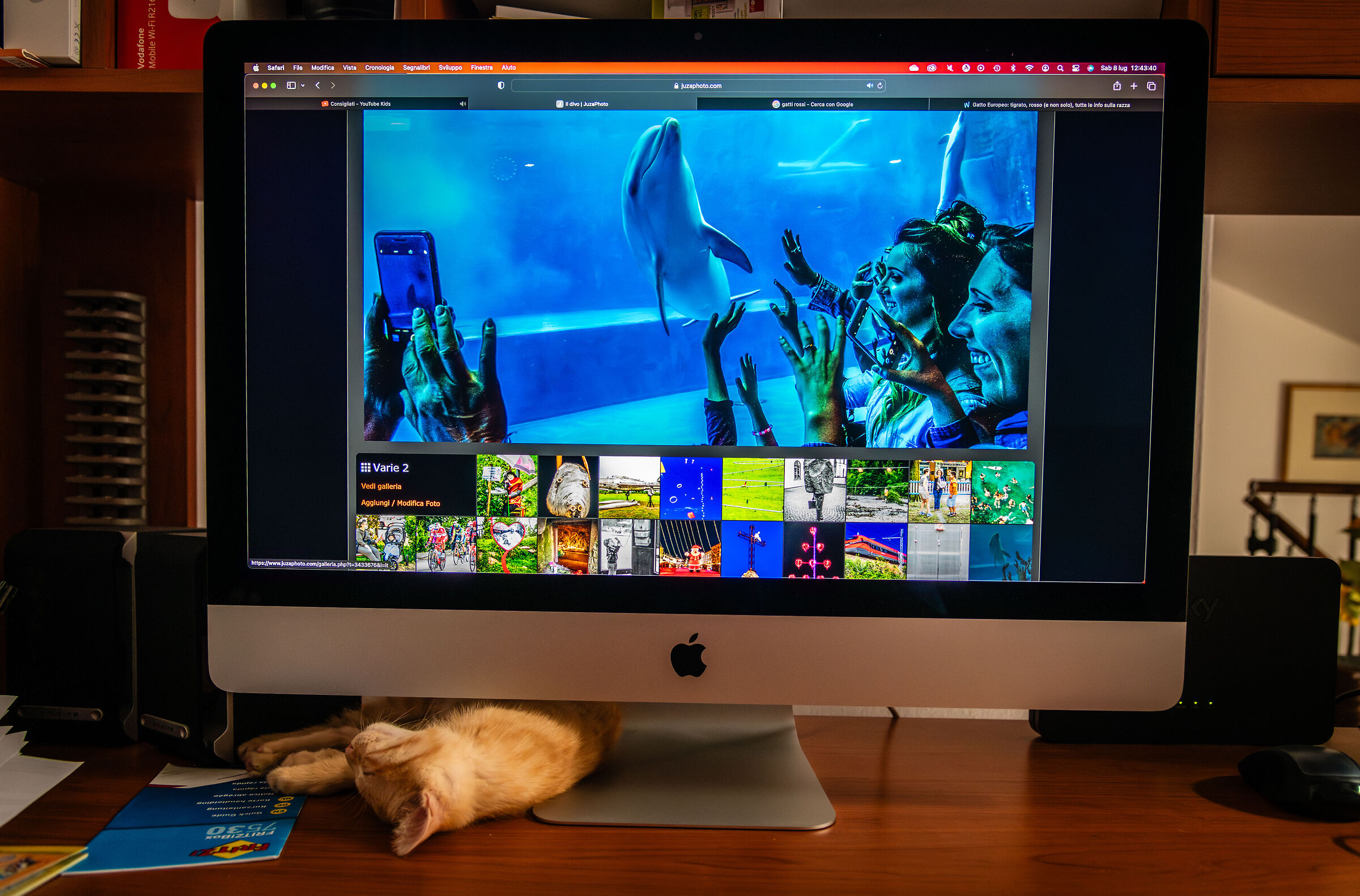 Juza mi concilia il sonno