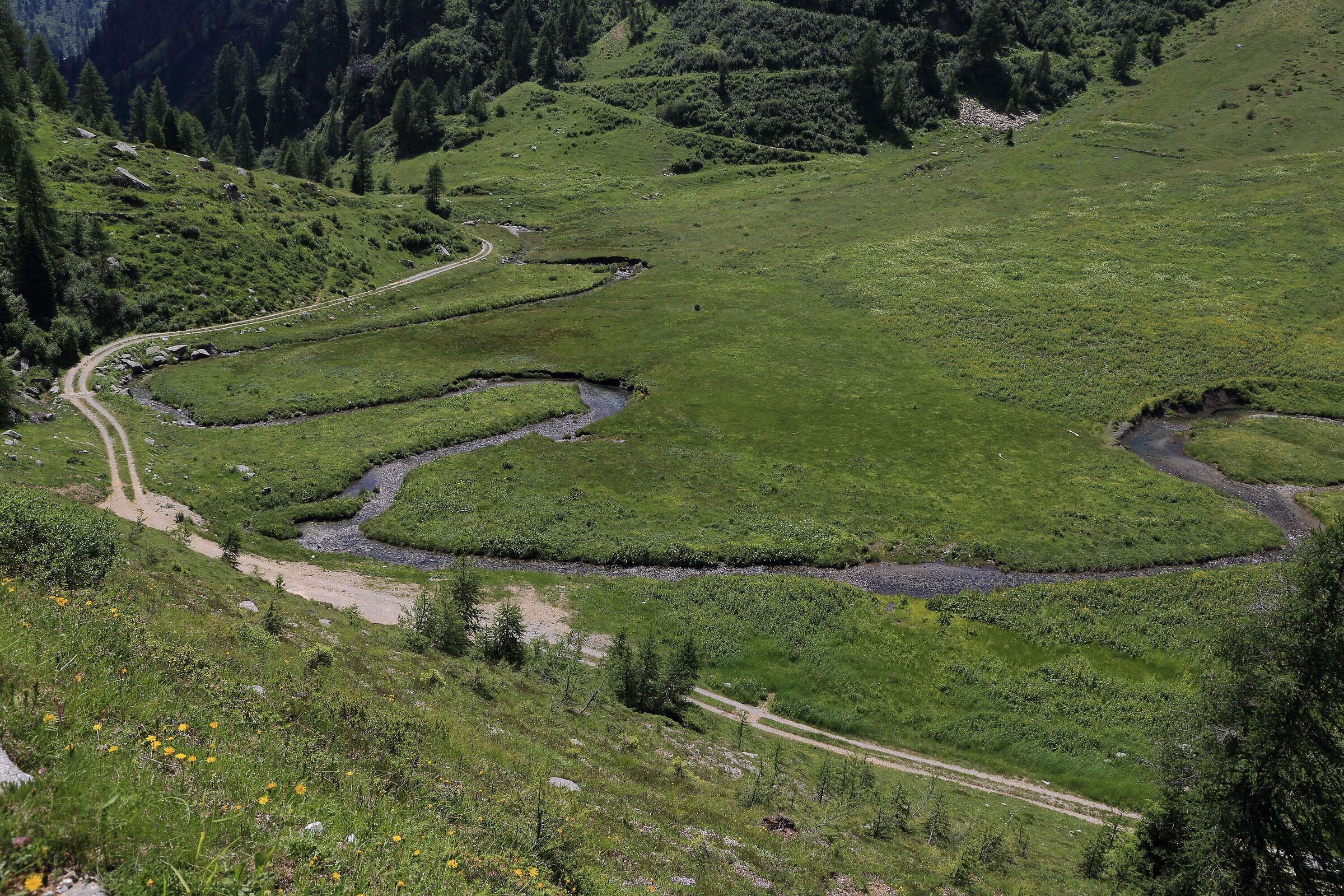 Le tre...vie - Malga Bondolo