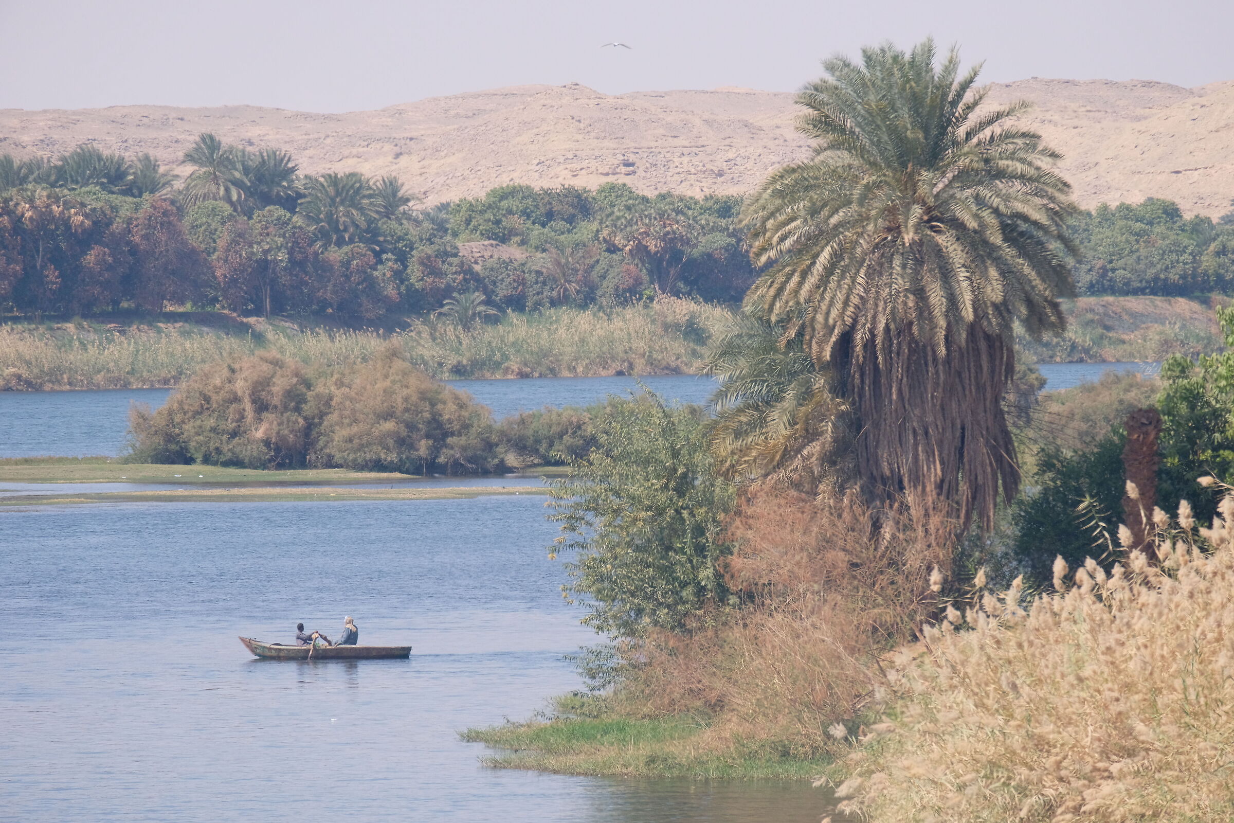 2020 Egitto - vista dalla nave sul Nilo