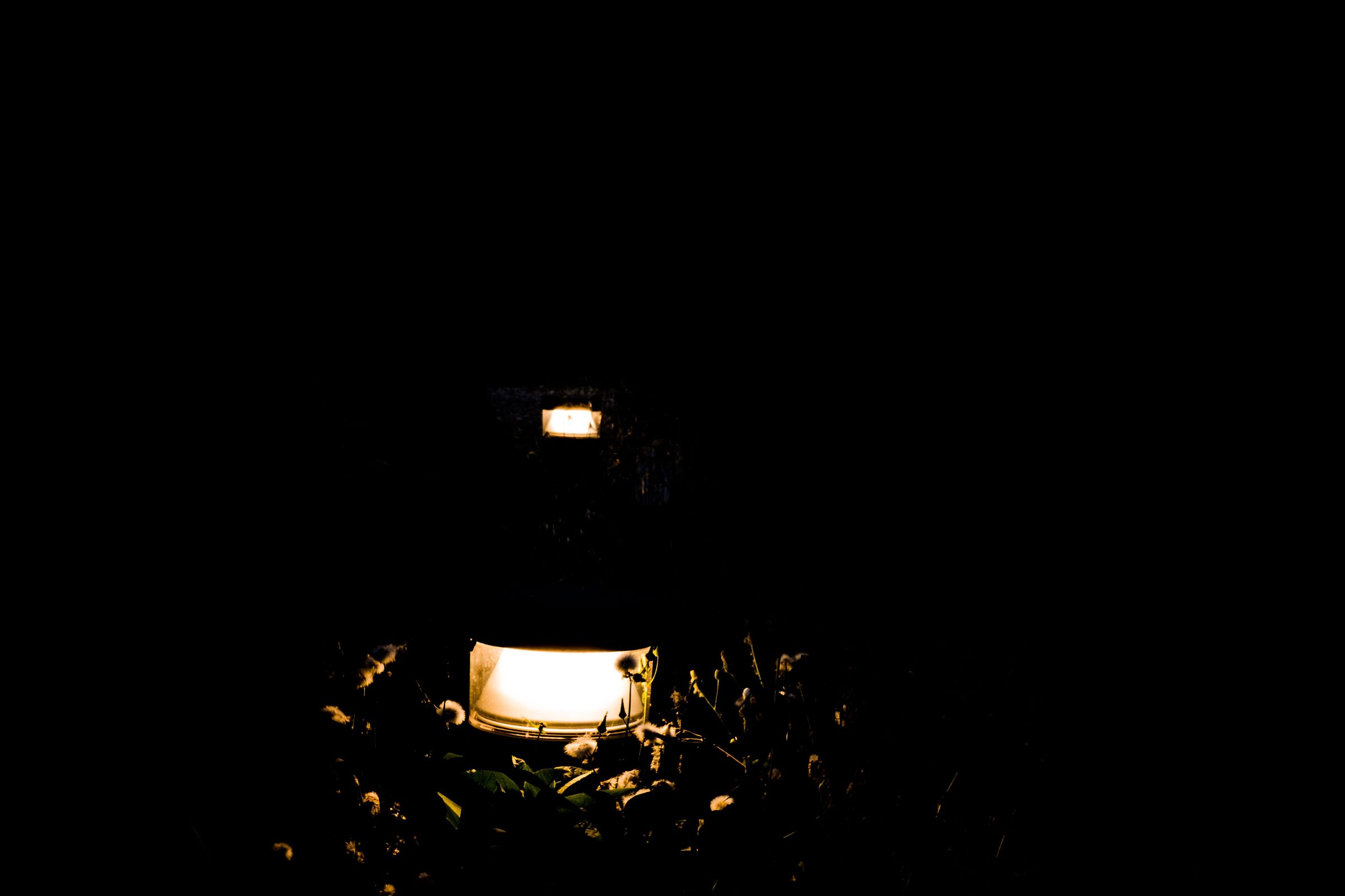The Lady of mosquitoes.