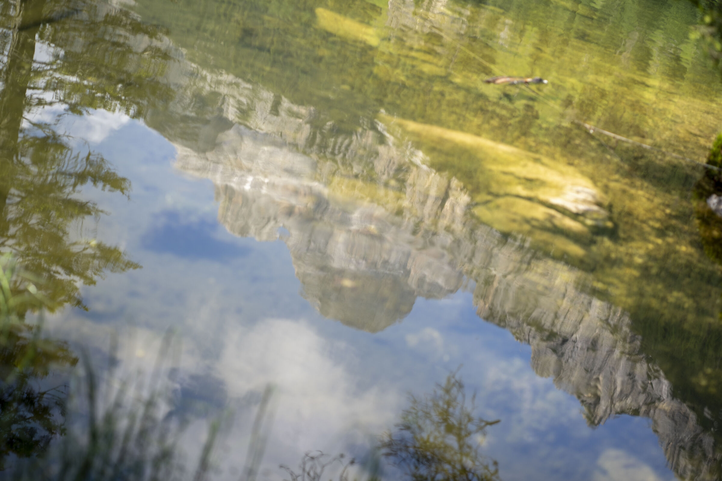 Reflection
