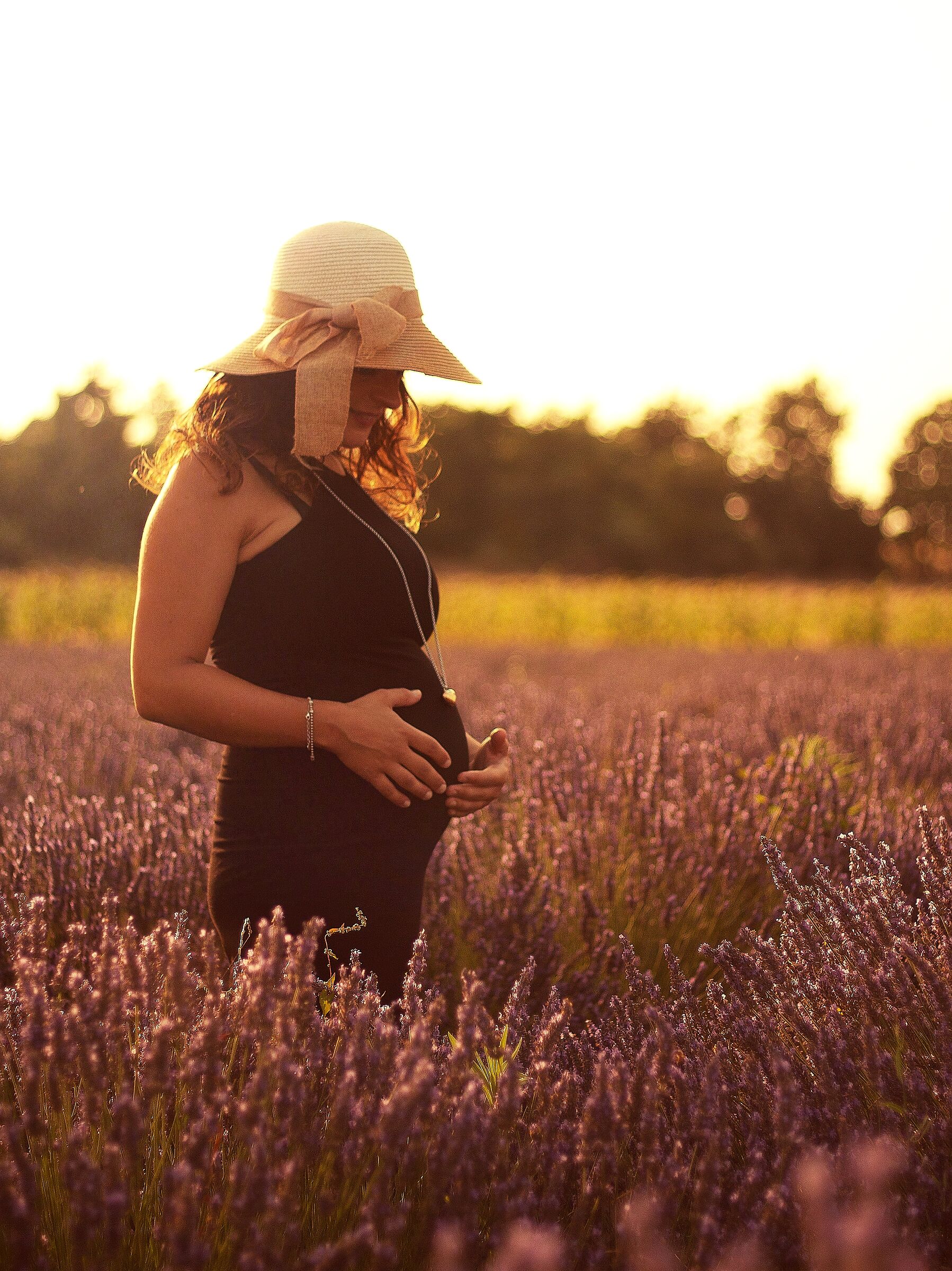 Lavender at sunset 02