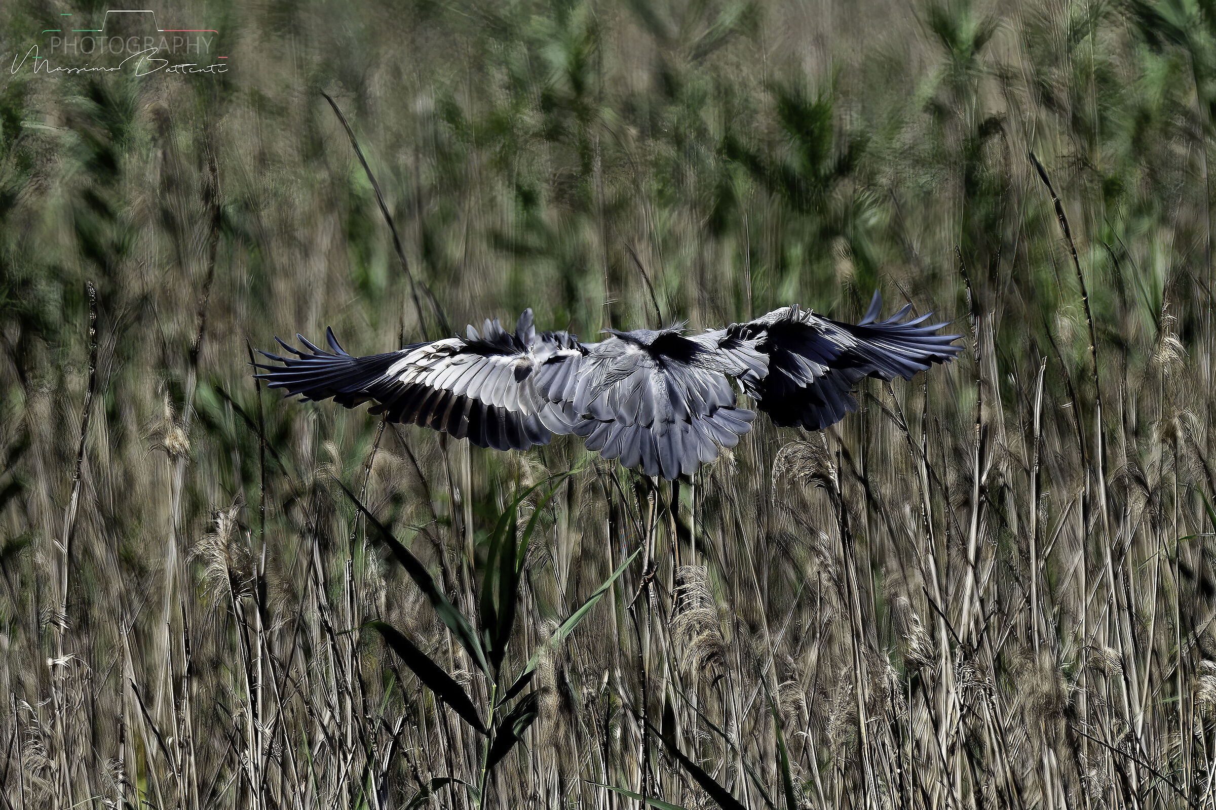 Colfiorito Palude