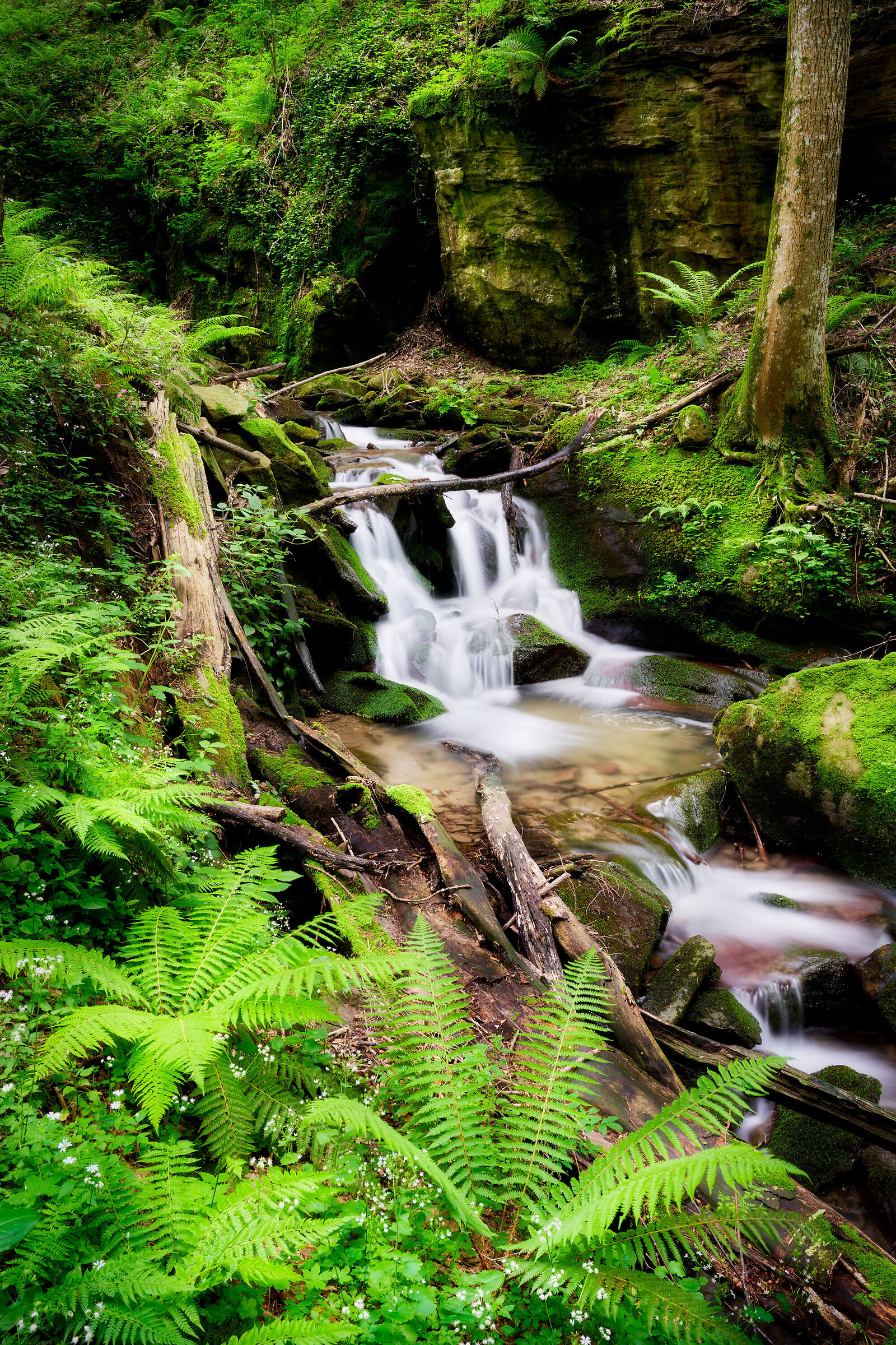 La cascata nascosta