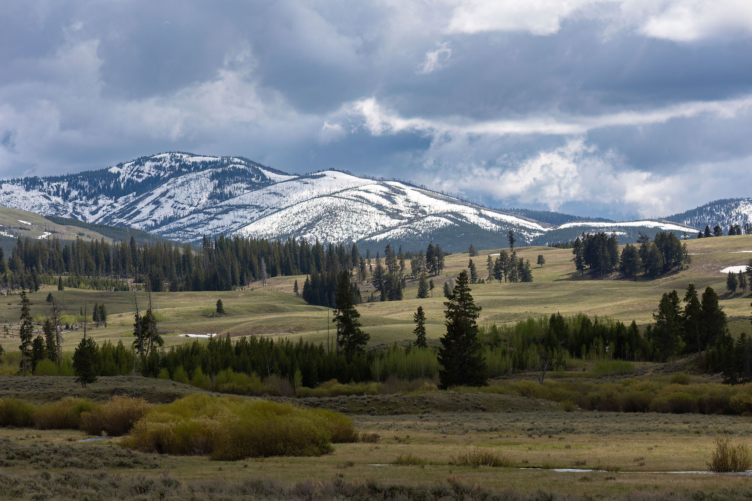 Uno dei mille panorami di Yellowstone