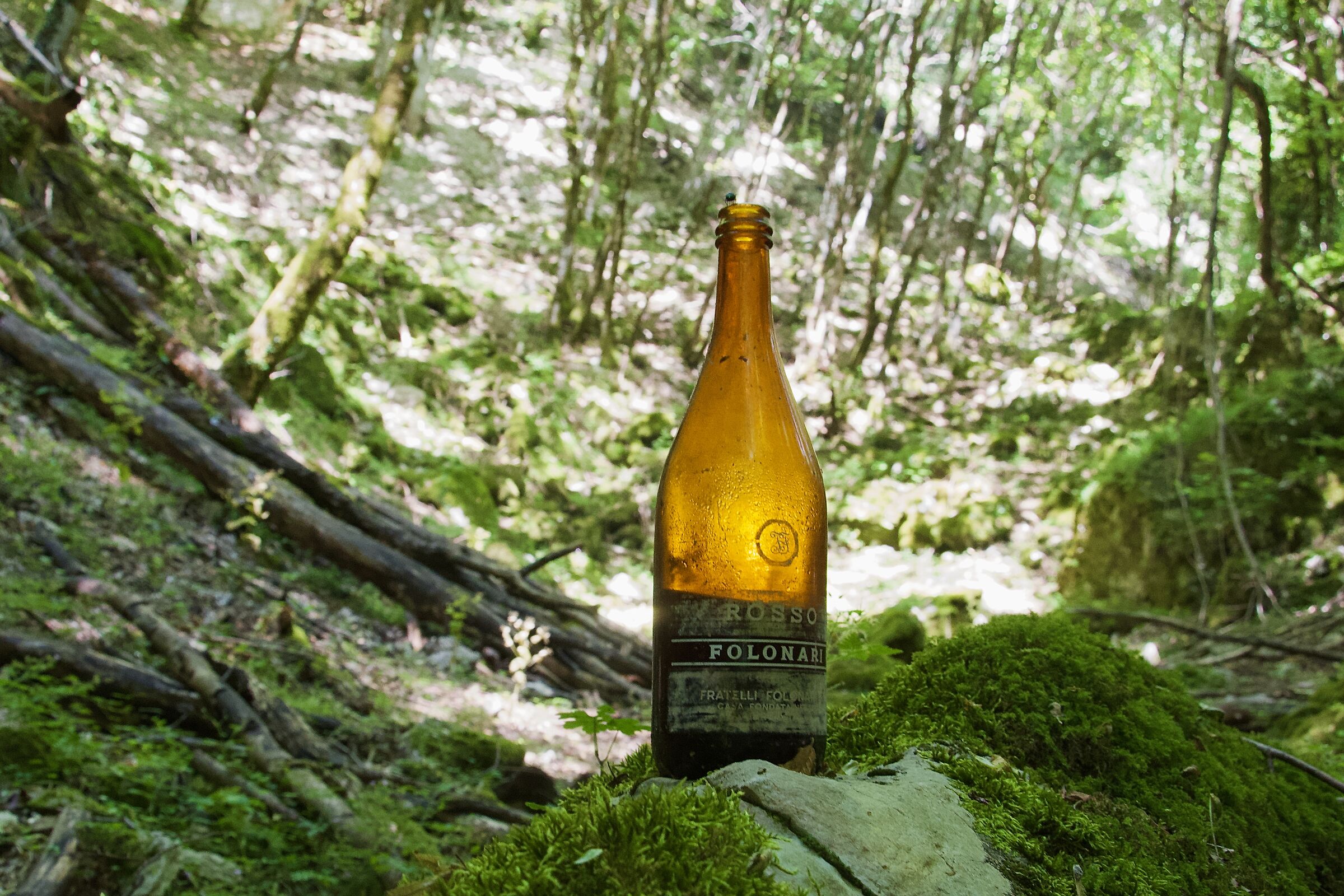 Vino di marca nel sottobosco