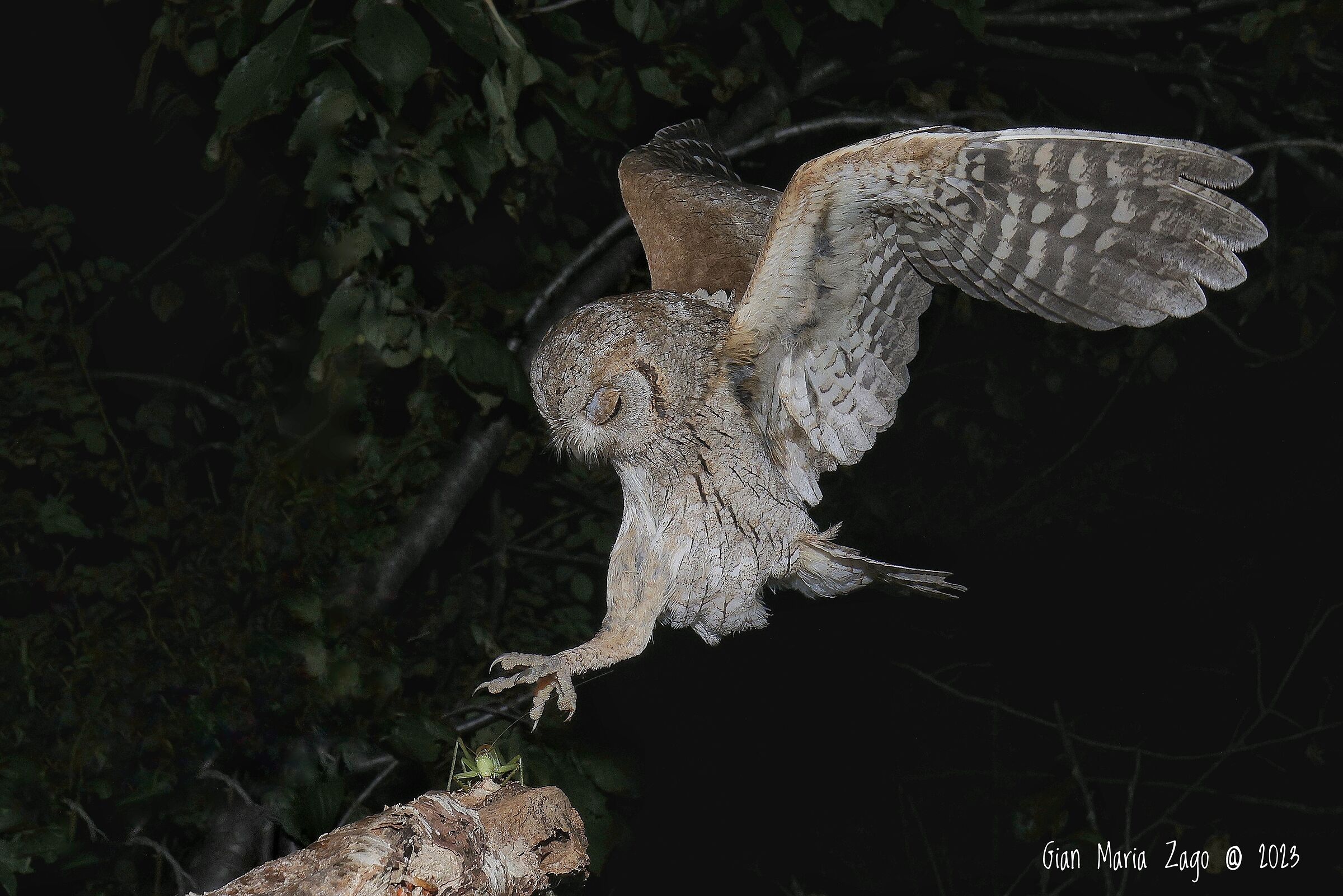 The harsh law of nature