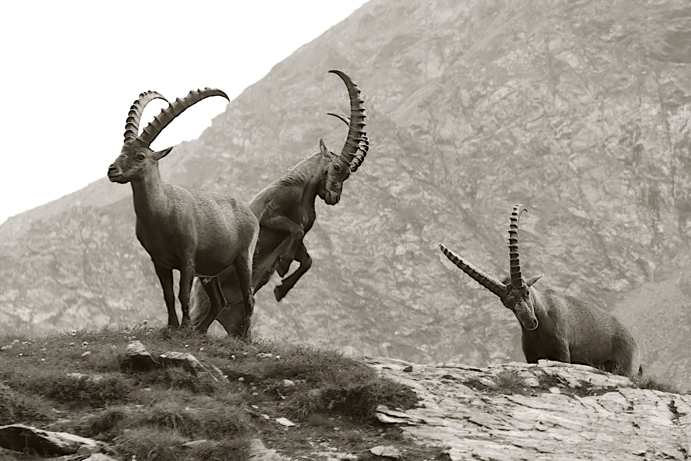 Triptych