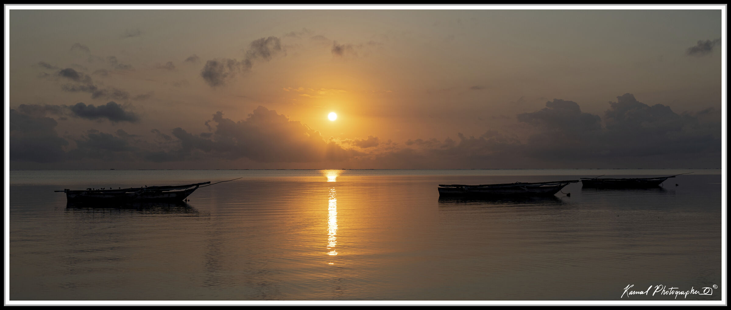 Untitled Photo