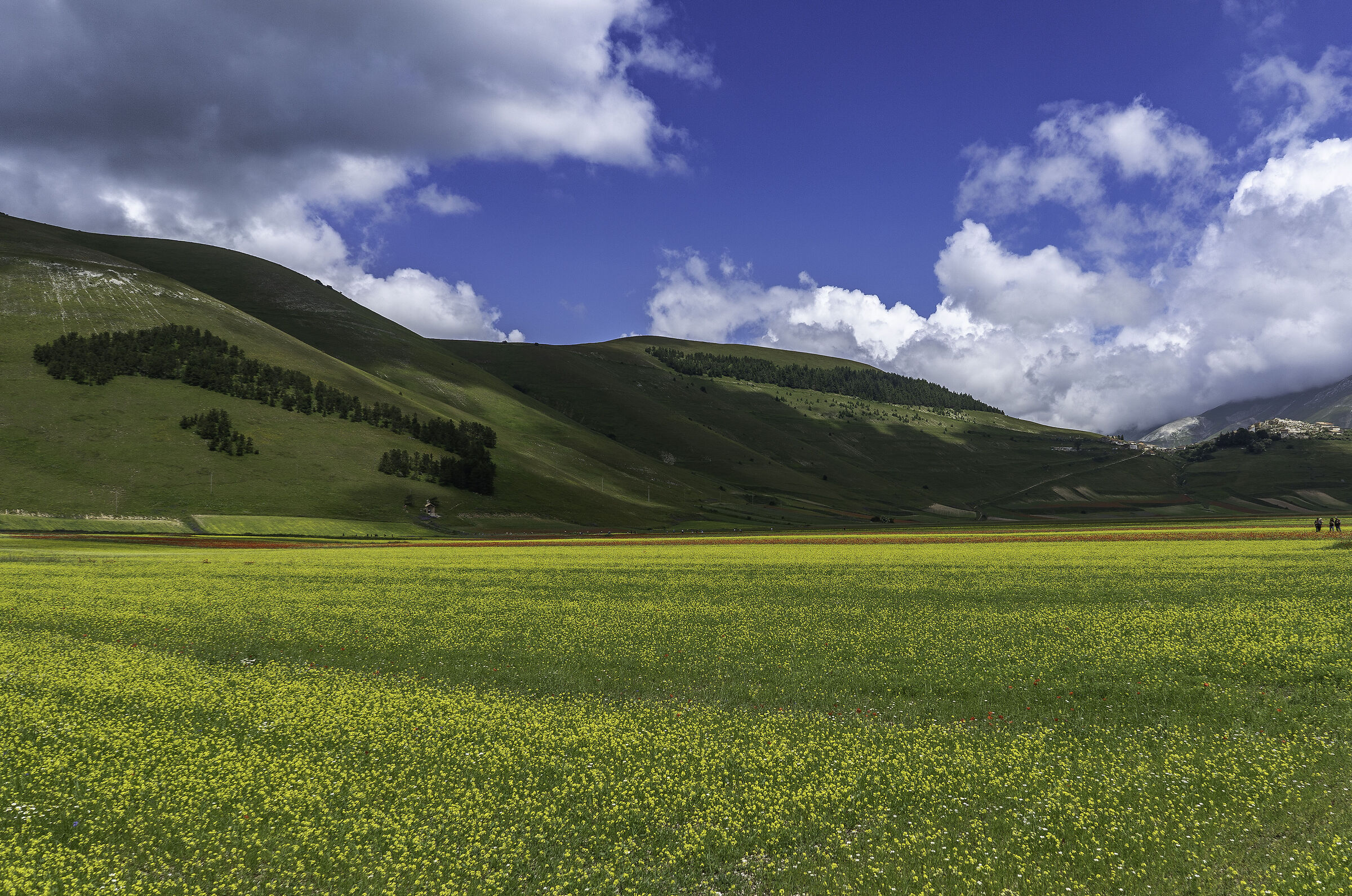 Plain of Castelluccio