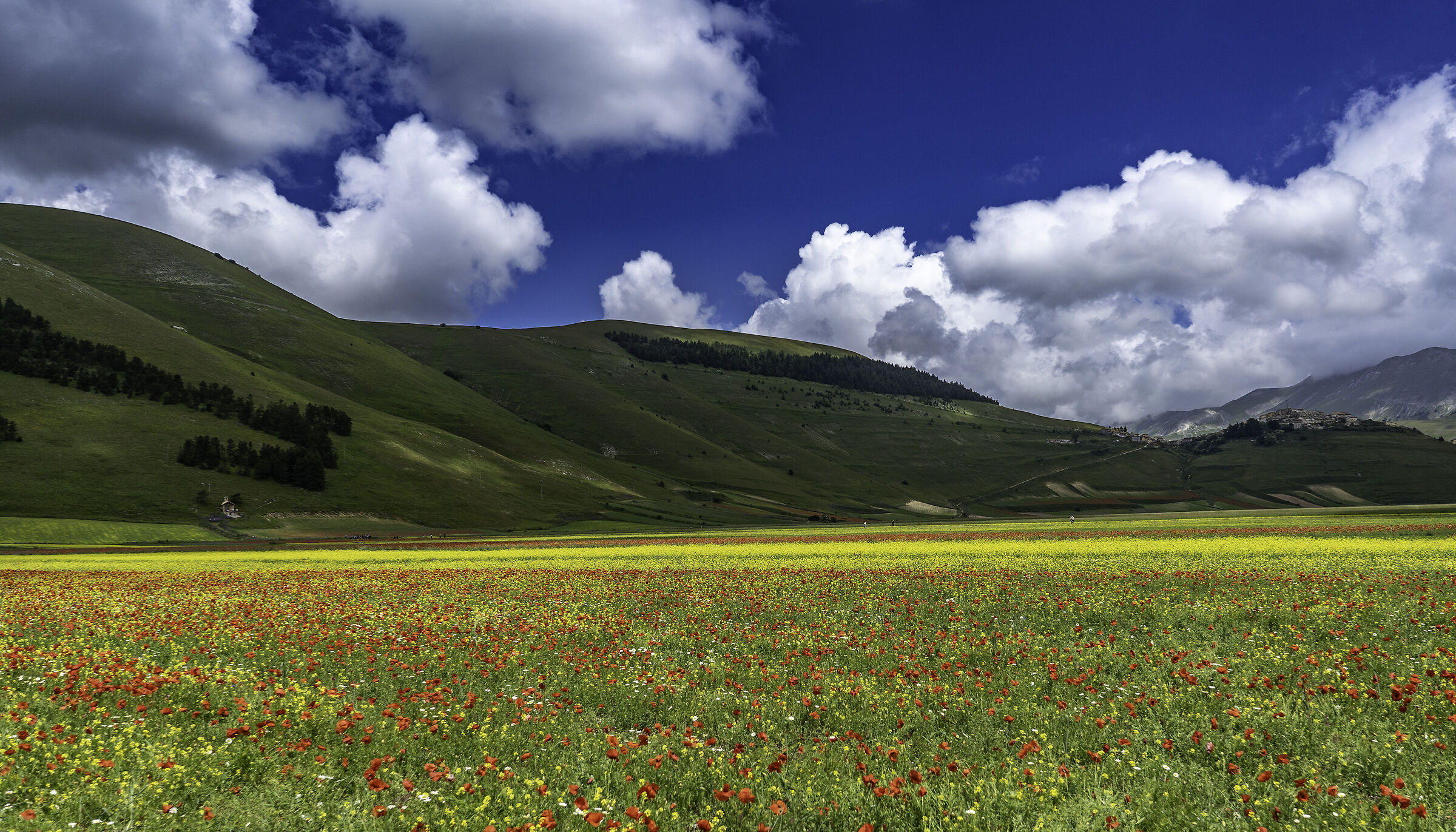 Plain of Castelluccio