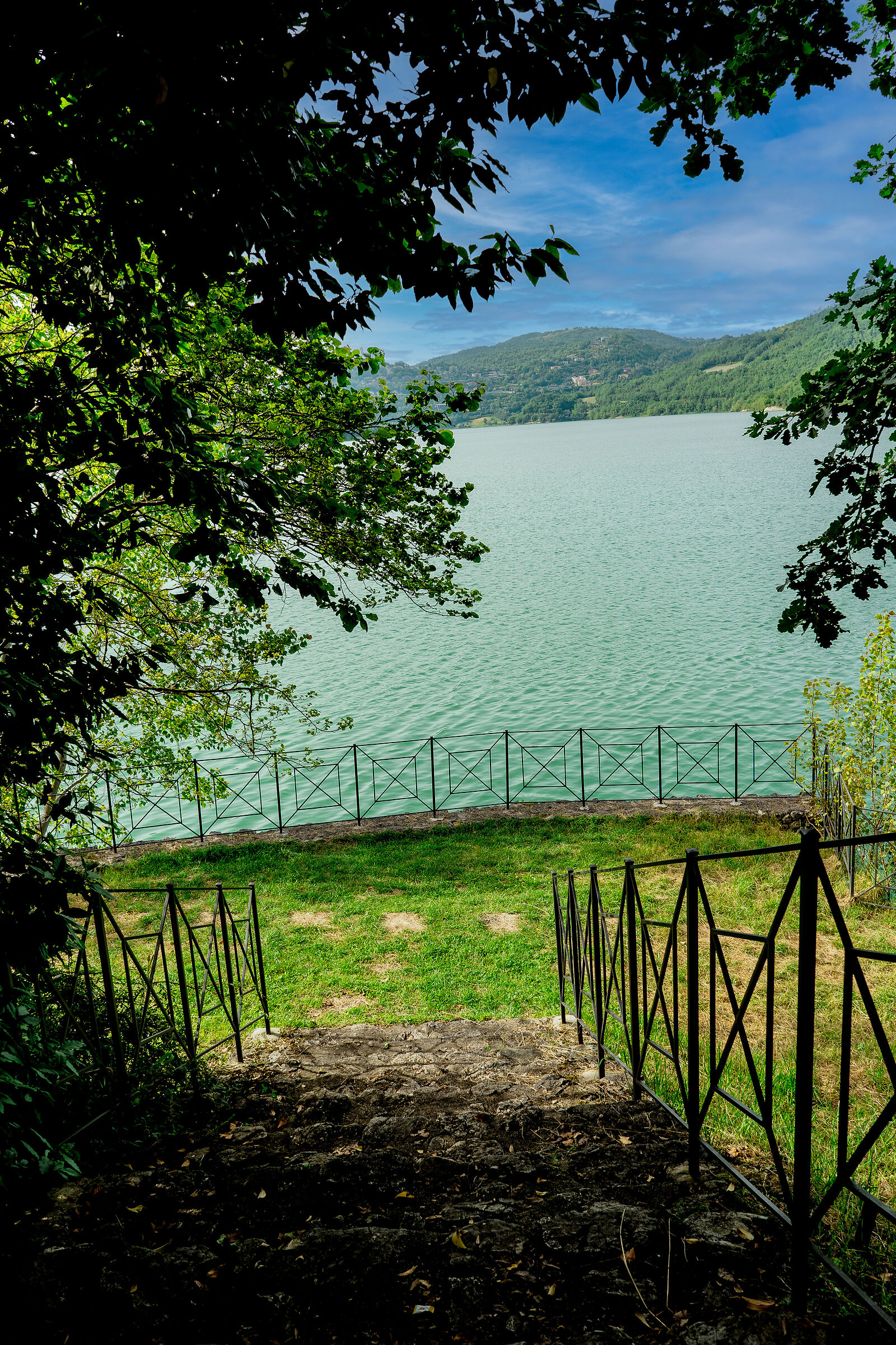 Tora Hill