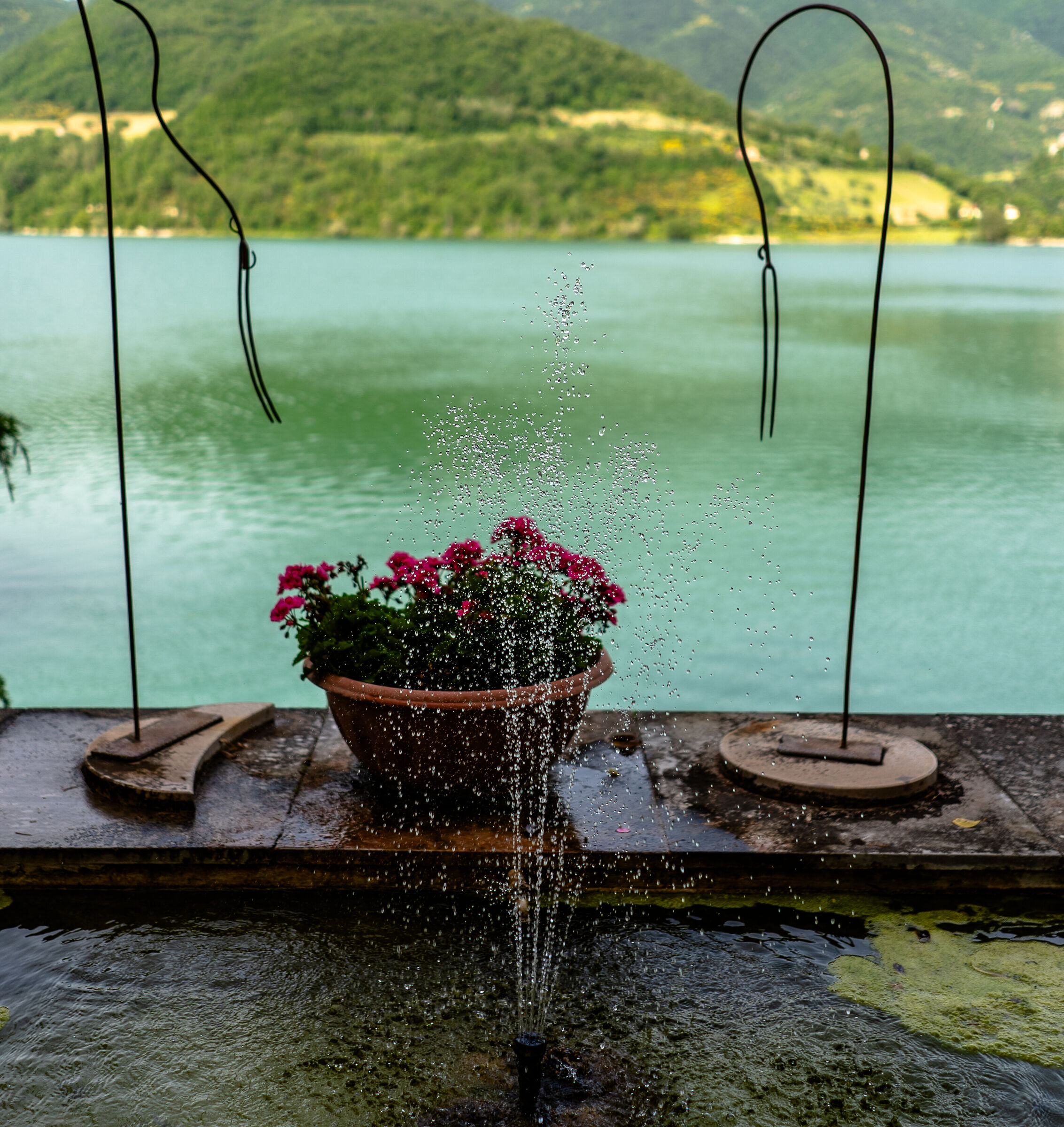 lake view