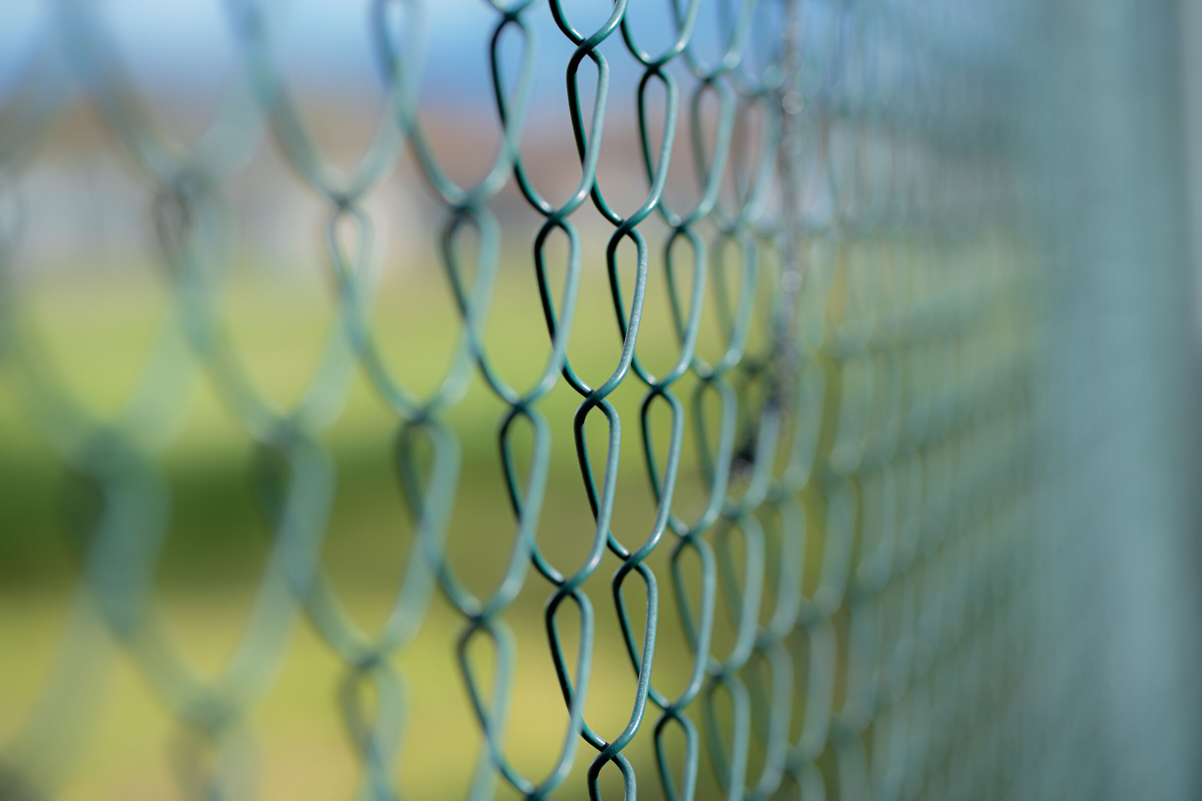 wire mesh