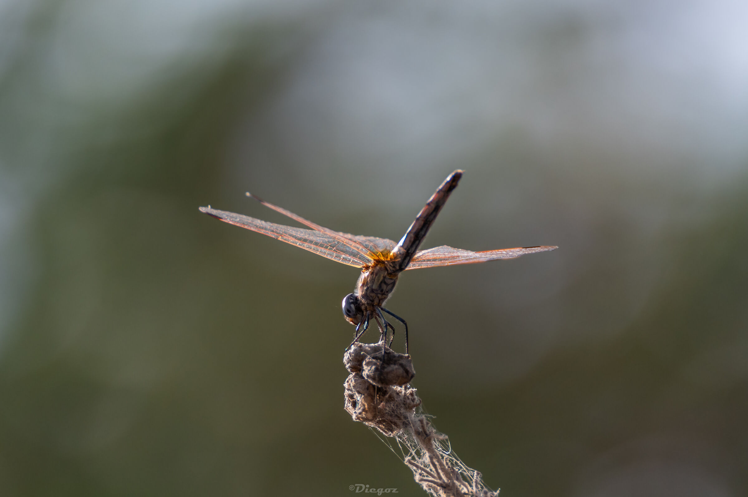 Untitled Photo