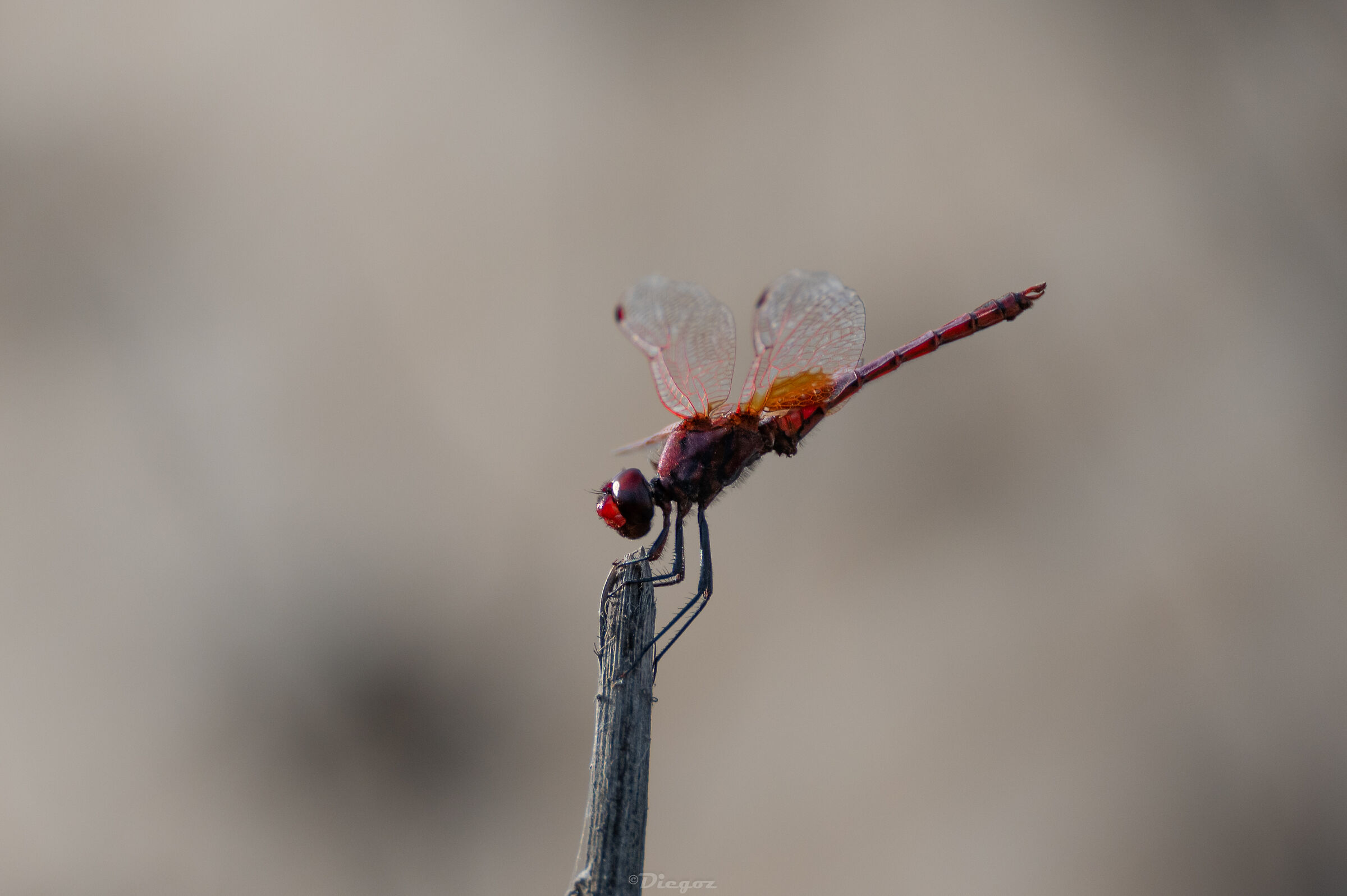 Untitled Photo