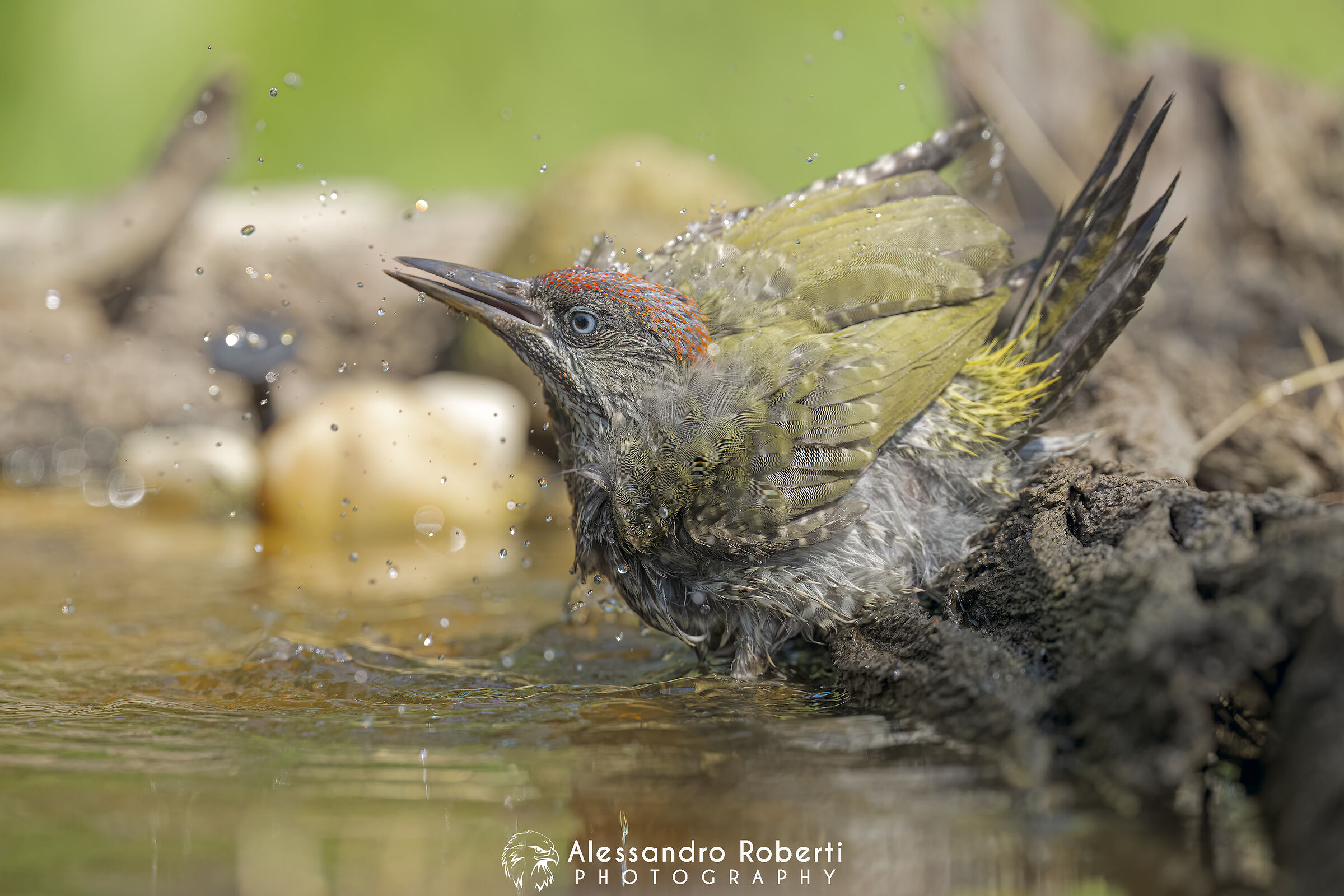" Bath "