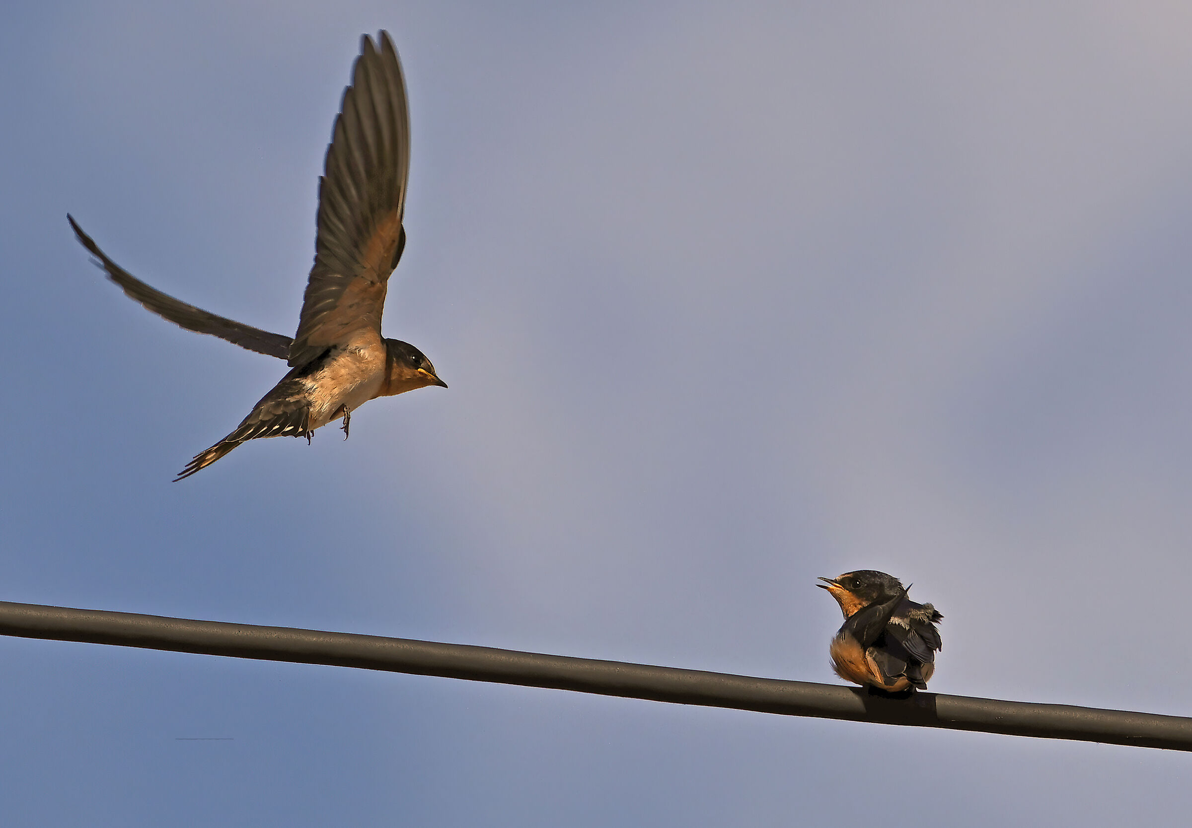 Is parking spot available?