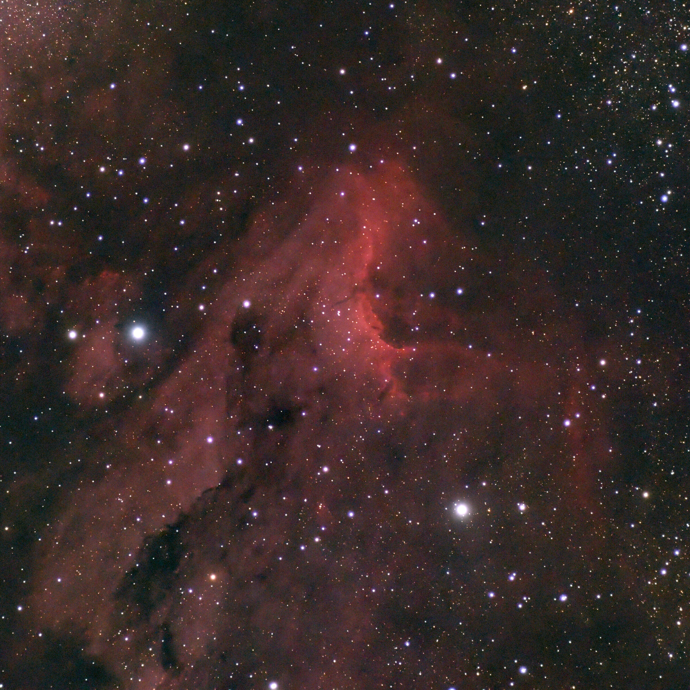 Pelican Nebula (IC5070)