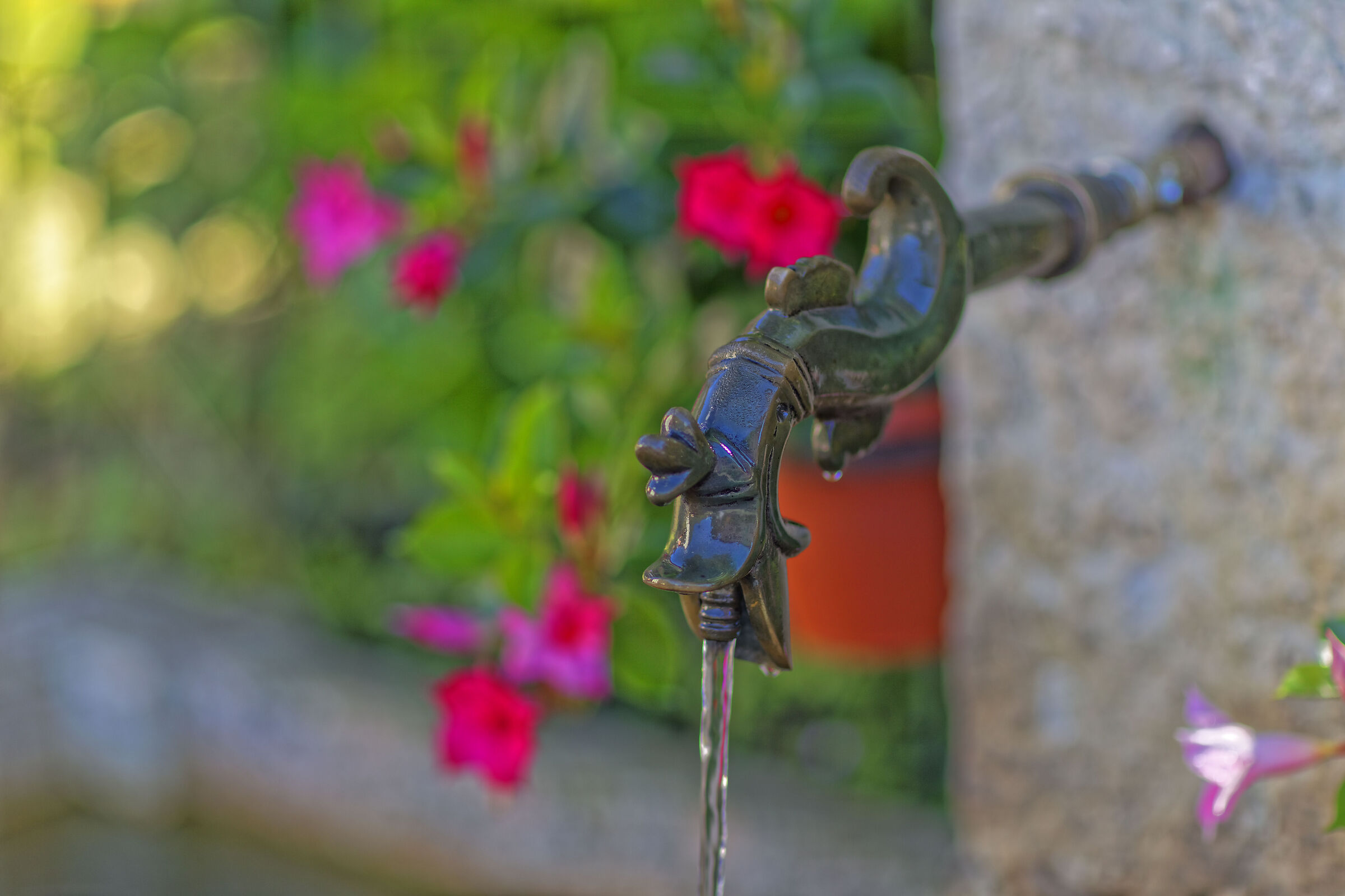 Acqua fresca