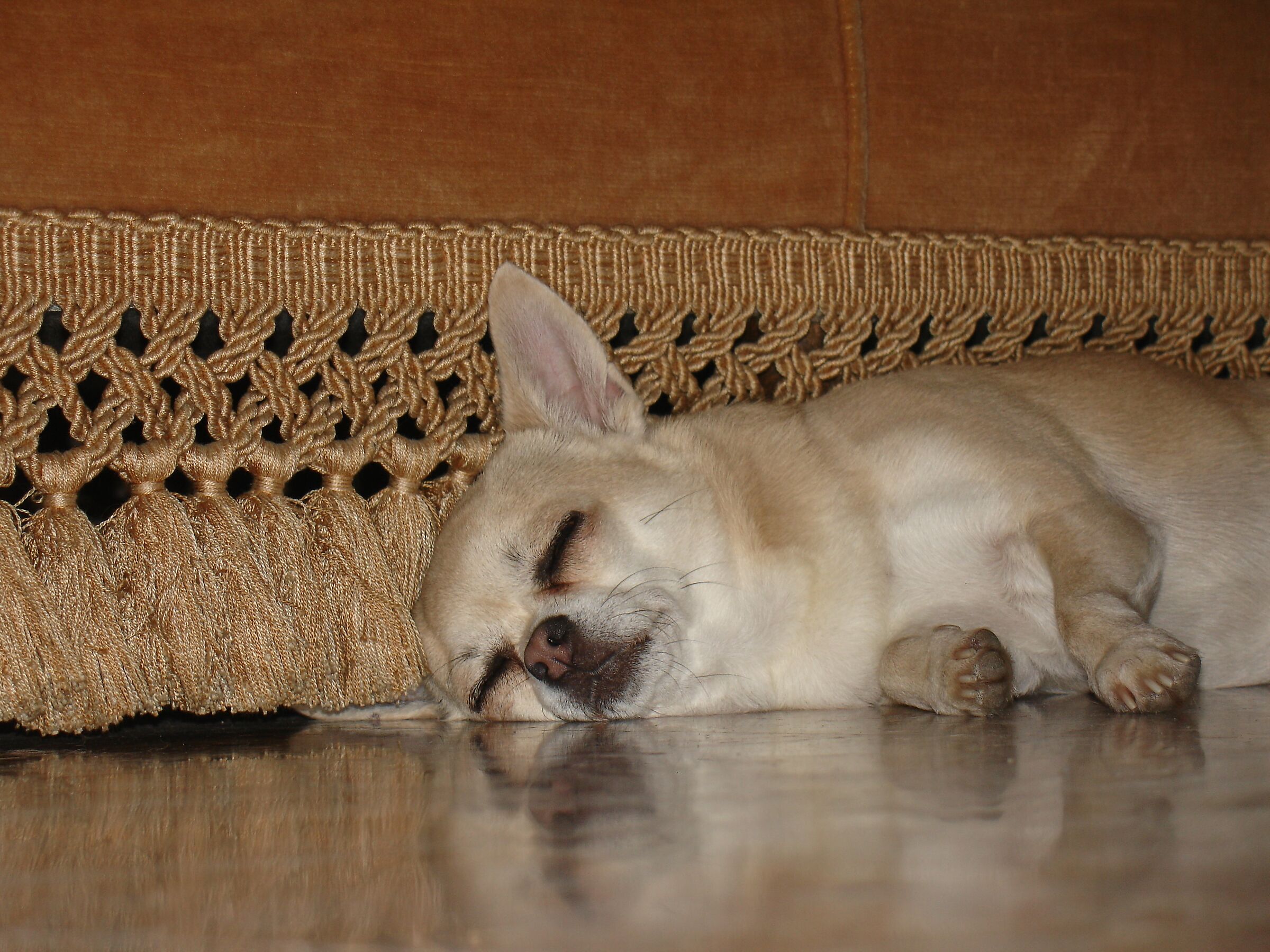 It's hot Sony DSC-V3