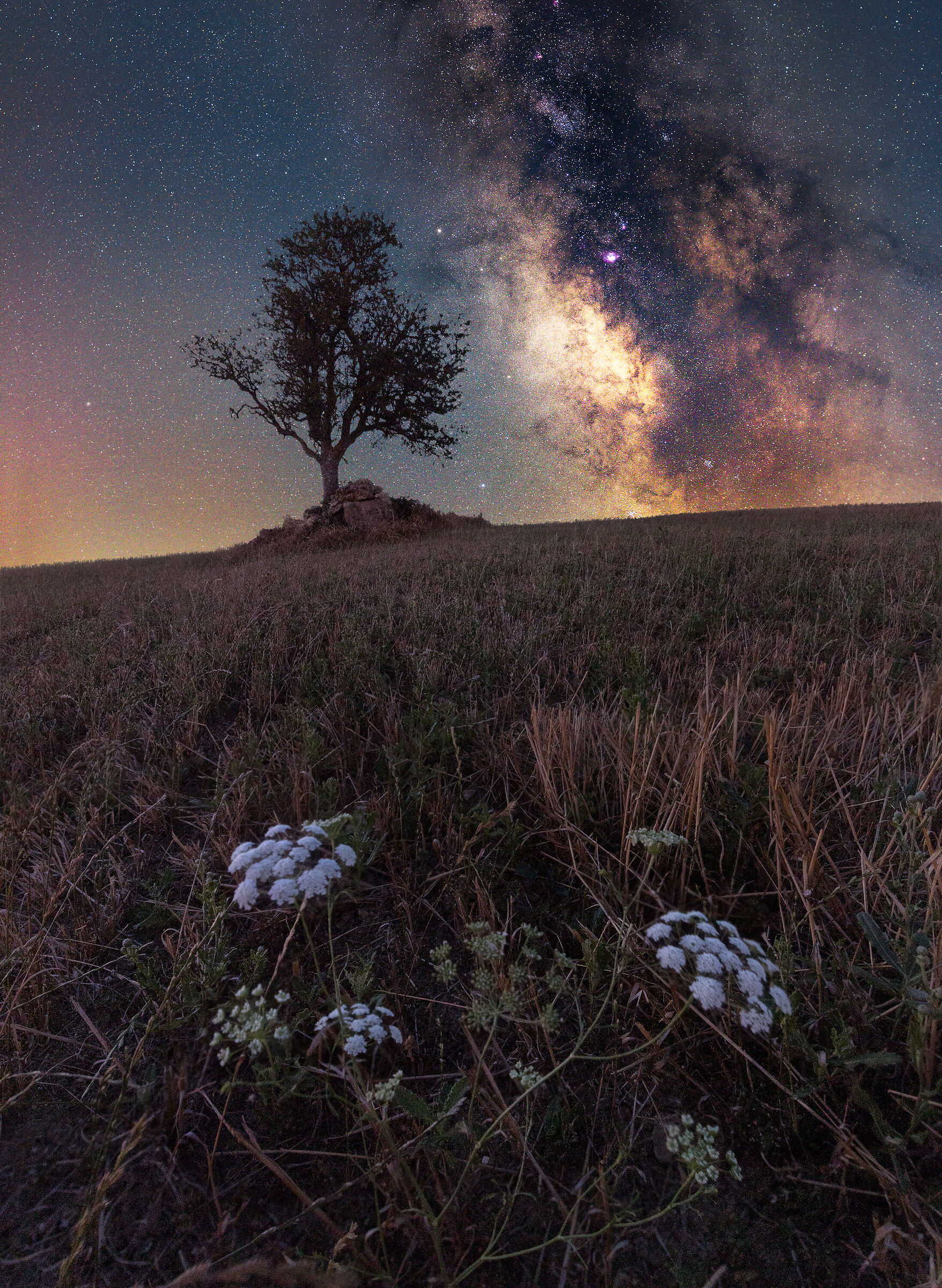 Una Fiamma Nella Notte