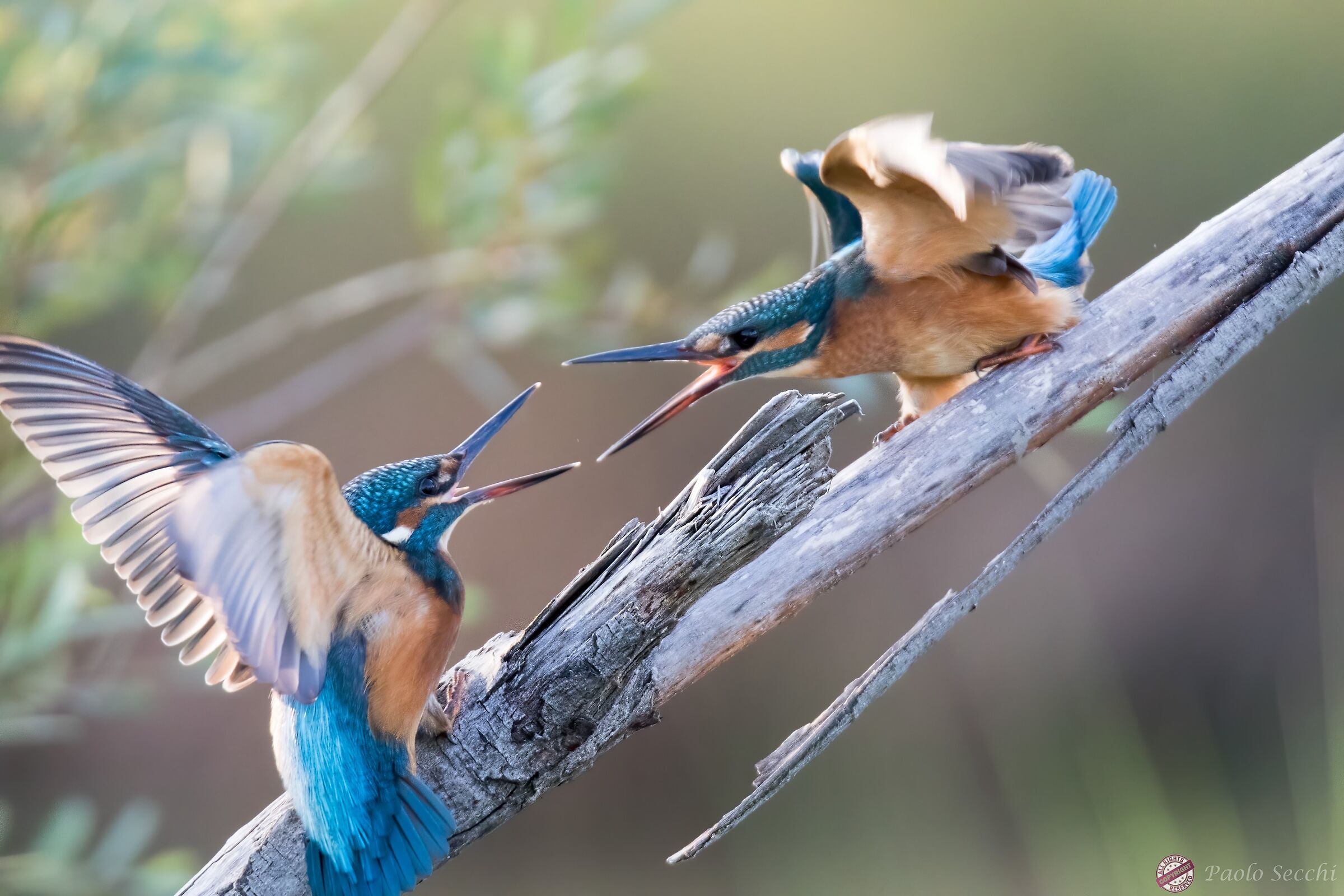 Rapporti condominiali