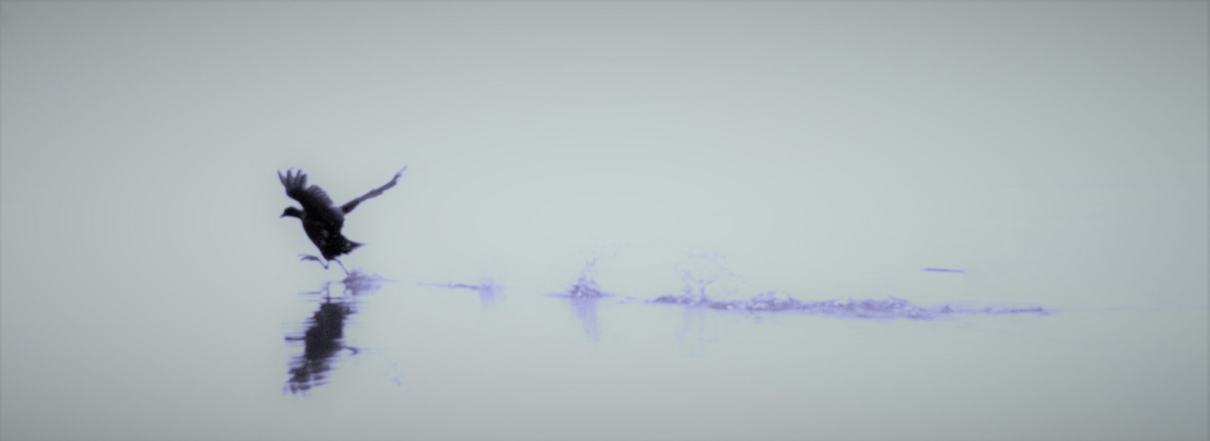 Camminare sulle acque