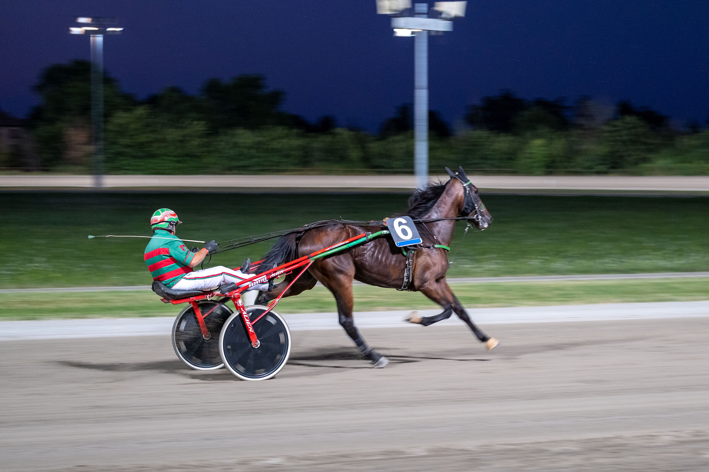 Panning trotting competition