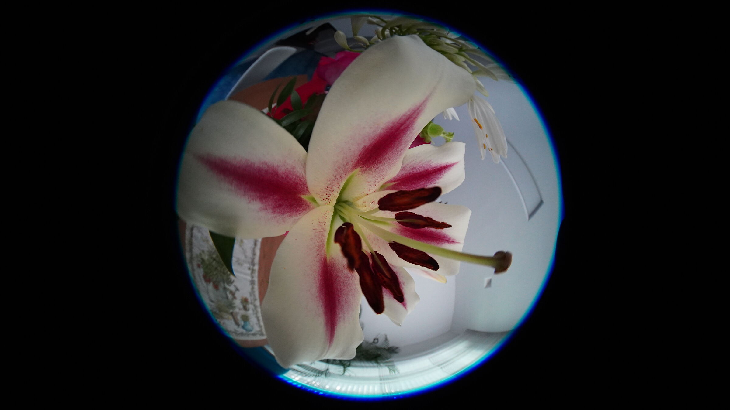 Fiore