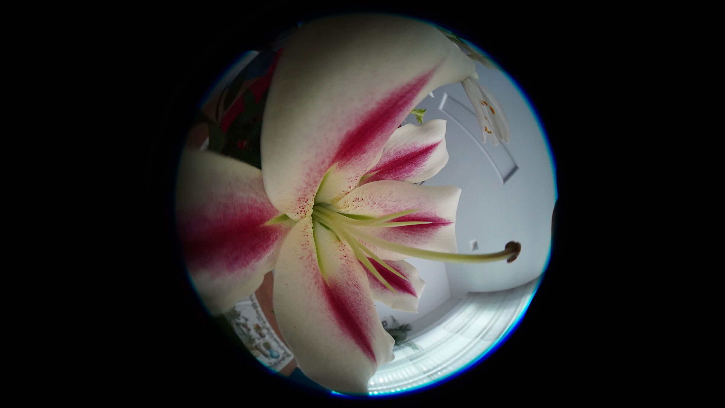 Fiore