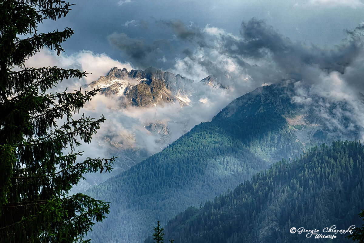 Parco Nazionale Adamello Brenta.
