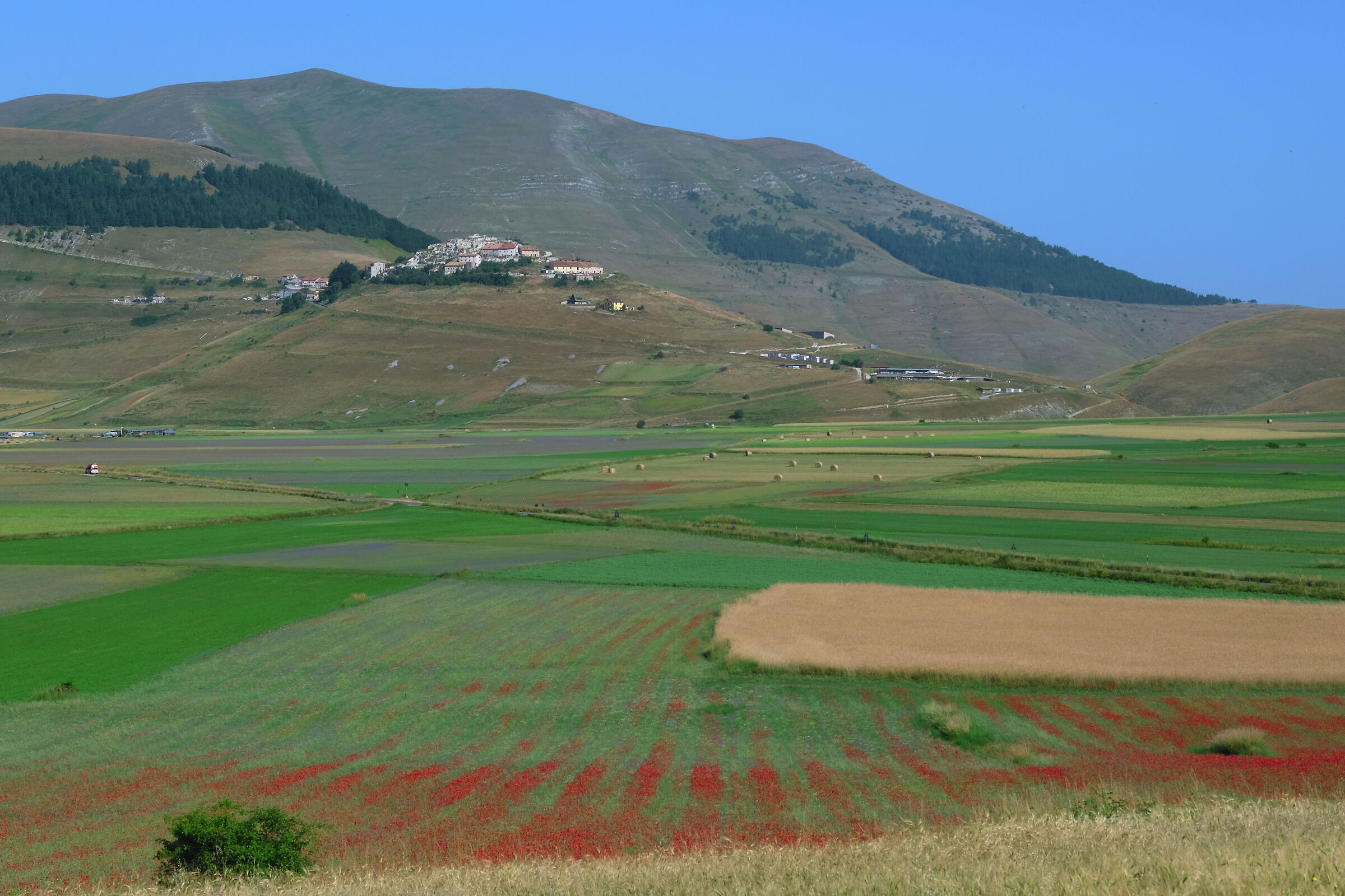 Castelluccio 2023