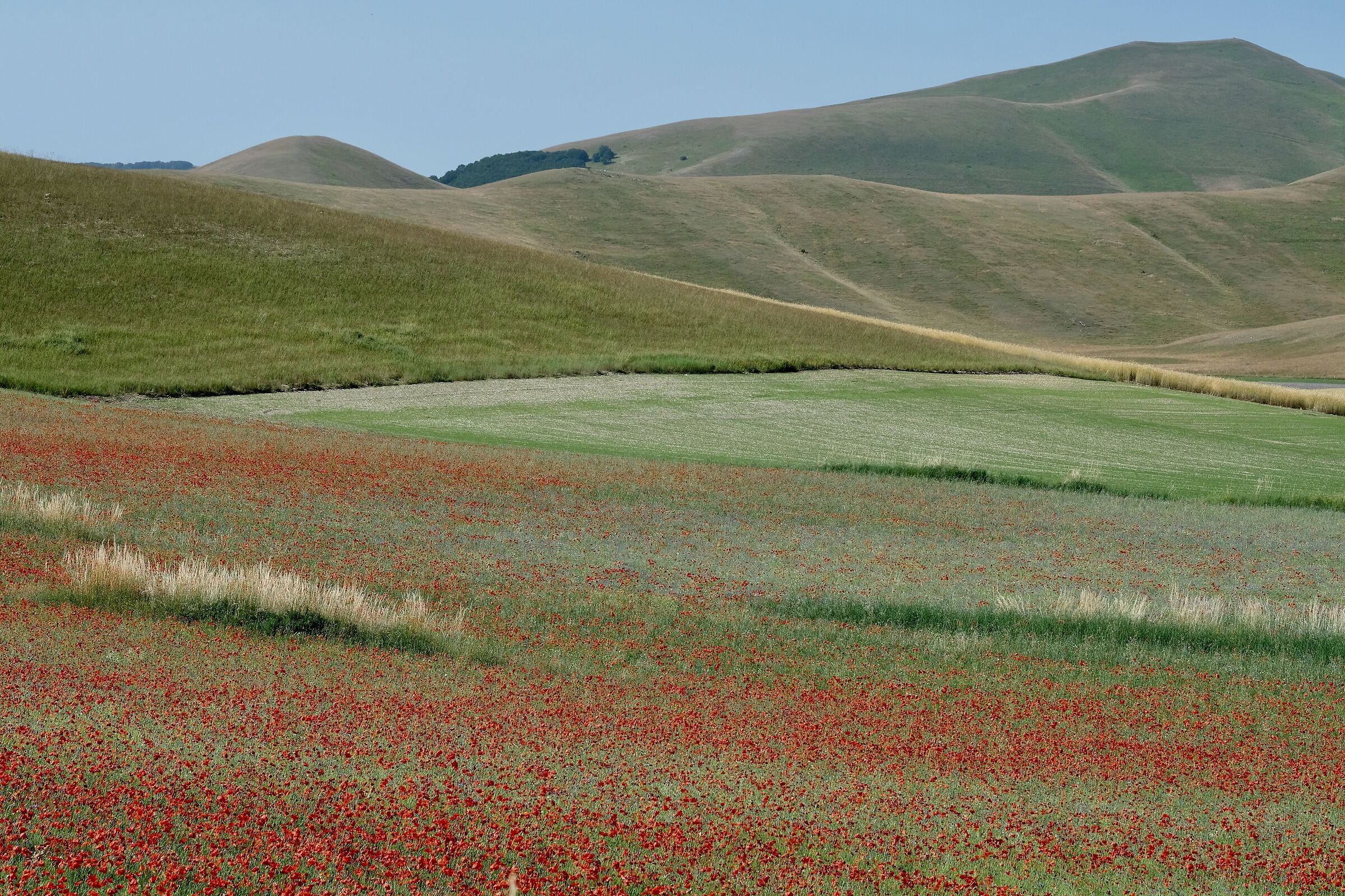 Castelluccio - Italy