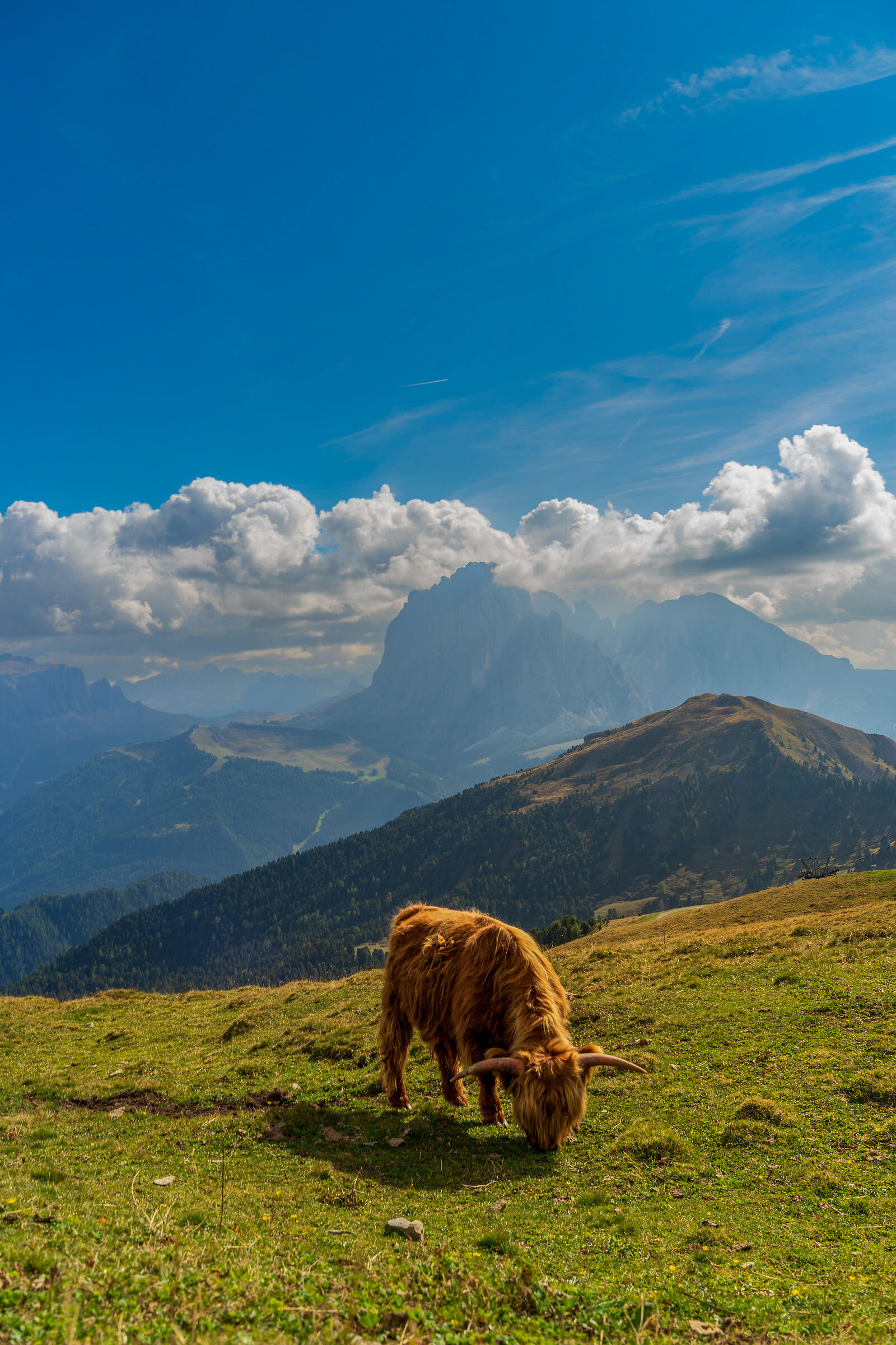 Val Gardena